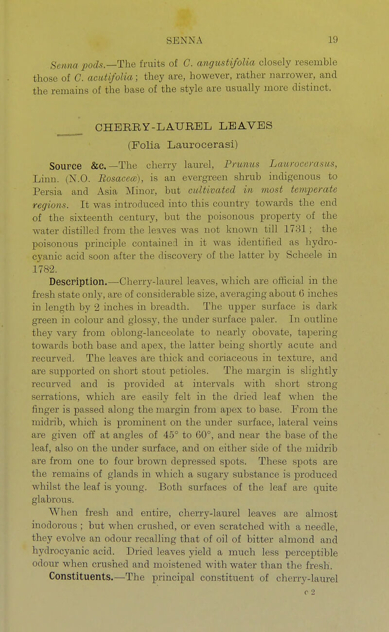 Senna pods— The fruits of G. angustifolia closely resemble those of C. acutifolia; they are, however, rather narrower, and the remains of the base of the style are usually more distinct. CHERRY-LAUREL LEAVES (Folia Laurocerasi) Source &c. —The cherry laurel, Primus Laurocerasus, Linn. (N.O. Bosacecc), is an evergreen shrub indigenous to Persia and Asia Minor, but cultivated in most temperate regions. It was introduced into this country towards the end of the sixteenth century, but the poisonous property of the water distilled from the leaves was not known till 1731 ; the poisonous principle contained in it was identified as hydro- cyanic acid soon after the discovery of the latter by Scheele in 1782. Description.—Cherry-laurel leaves, which are official in the fresh state only, are of considerable size, averaging about 6 inches in length by 2 inches in breadth. The upper surface is dark green in colour and glossy, the under surface paler. In outline they vary from oblong-lanceolate to nearly obovate, tapering towards both base and apex, the latter being shortly acute and recurved. The leaves are thick and coriaceous in texture, and are supported on short stout petioles. The margin is slightly recurved and is provided at intervals with short strong serrations, which are easily felt in the dried leaf when the finger is passed along the margin from apex to base. From the midrib, which is prominent on the under surface, lateral veins are given off at angles of 45° to 60°, and near the base of the leaf, also on the under surface, and on either side of the midrib are from one to four brown depressed spots. These spots are the remains of glands in which a sugary substance is produced whilst the leaf is young. Both surfaces of the leaf are quite glabrous. When fresh and entire, cherry-laurel leaves are almost inodorous ; but when crushed, or even scratched with a needle, they evolve an odour recalling that of oil of bitter almond and hydrocyanic acid. Dried leaves yield a much less perceptible odour when crushed and moistened with water than the fresh. Constituents.—The principal constituent of cherry-laurel