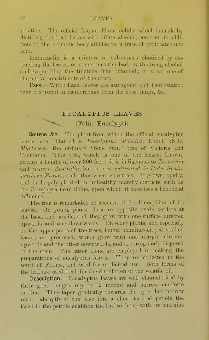 position. The official Liquor I I ;wn;i melidis, which is made hy distilling the fresh leaves with dilute alcohol, contains, in addi- tion to the aromatic body alluded to, a trace of protocatechuic acid. Hamamelin is a mixture of substances obtained by ex- tracting the leaves, or sometimes the bark, with strong alcohol and evaporating the tincture thus obtained ; it is not one of the active constituents of the drug. Uses.—Witch-hazel leaves are astringent and haemostatic; they are useful in haemorrhage from the nose, lungs, &c. Source &C.—The plant from which the official eucalyptus leaves are obtained is Eucalyptus Globulus, Labill. (N.O. Myrtaoece), the ordinary ' blue gum' tree of Victoria and Tasmania. This tree, which is one of the largest known, attains a height of over 300 feet; it is indigenous to Tasmania and eastern Australia, but is now cultivated in Italy, Spain, southern France, and other warm countries. It grows.rapidly, and is largely planted in unhealthy marshy districts, such as the Campagna near Rome, upon which it exercises a beneficial influence. The tree is remarkable on account of the dimorphism of its leaves. On young plants these are opposite, ovate, cordate at the base, and sessile, and they grow with one surface directed upwards and one downwards. On older plants, and especially on the upper parts of the trees, longer scimitar-shaped stalked leaves are produced, which grow with one margin directed upwards and the other downwards, and are irregularly disposed on the stem. The latter alone are employed in making the preparations of eucalyptus leaves. They are collected in the south of France, and dried for medicinal use. Both forms of the leaf are used fresh for the distillation of the volatile oil. Description.—Eucalyptus leaves are well characterised by their great length (up to 12 inches) and narrow ensiform outline. They taper gradually towards the apex, but narrow rather abruptly at the base into a short twisted petiole, the twist in the petiole enabling the leaf to hang with its margins EUCALYPTUS LEAVES (Folia Eucalypti)