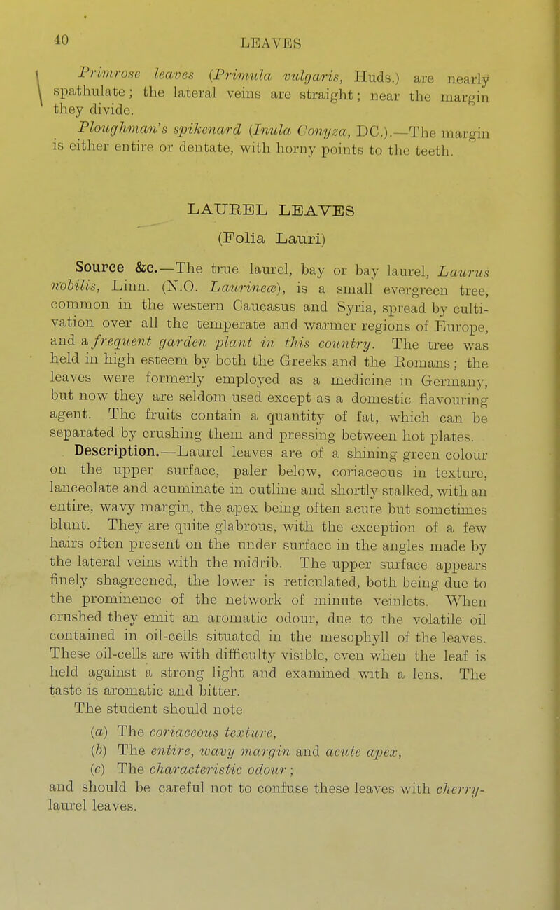 10 Primrose leaves (Primula vulgaris, Huds.) are nearly spathulate; the lateral veins are straight; near the margin the}' divide. Ploughman's spikenard {Inula Gonyza, DC.).—The margin is either entire or dentate, with homy points to the teeth. LAUREL LEAVES (Folia Lauri) Source &c—The true laurel, bay or bay laurel, Laurus nobilis, Linn. (N.O. Laurinea), is a small evergreen tree, common in the western Caucasus and Syria, spread by culti- vation over all the temperate and warmer regions of Europe, and a frequent garden plant in this country. The tree was held in high esteem by both the Greeks and the Romans; the leaves were formerly employed as a medicine in Germany, but now they are seldom used except as a domestic flavouring agent. The fruits contain a quantity of fat, which can be separated by crushing them and pressing between hot plates. Description.—Laurel leaves are of a shining green colour on the upper surface, paler below, coriaceous in texture, lanceolate and acuminate in outline and shortly stalked, with an entire, wavy margin, the apex being often acute but sometimes blunt. They are quite glabrous, with the exception of a few hairs often present on the under surface in the angles made by the lateral veins with the midrib. The upper surface appears finely shagreened, the lower is reticulated, both being due to the prominence of the network of minute veinlets. When crushed they emit an aromatic odour, due to the volatile oil contained in oil-cells situated in the mesophyll of the leaves. These oil-cells are with difficulty visible, even when the leaf is held against a strong light and examined with a lens. The taste is aromatic and bitter. The student should note (a) The coriaceous texture, (b) The entire, wavy margin and acute apex, (c) The characteristic odour; and should be careful not to confuse these leaves with cherry- laurel leaves.