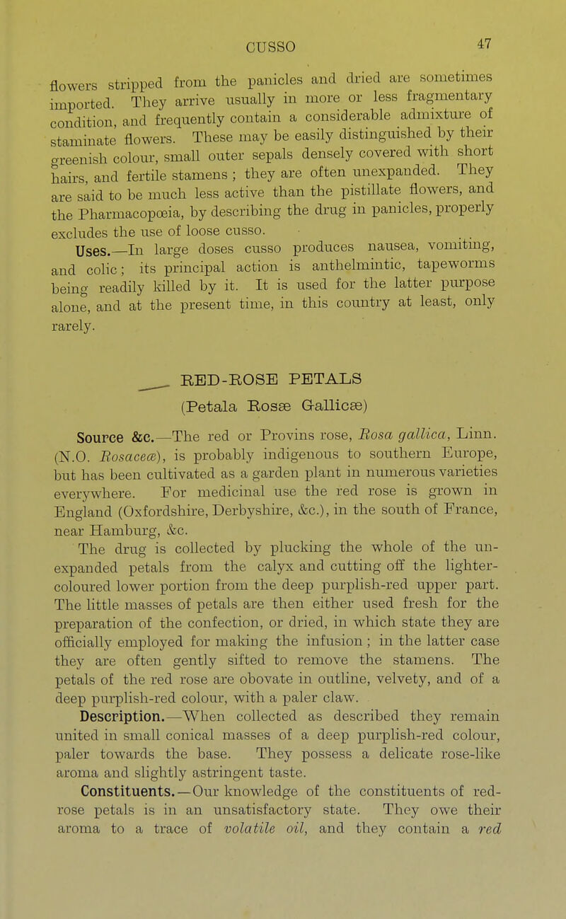 cusso flowers stripped from the panicles and dried are sometimes imported They arrive usually in more or less fragmentary condition, and frequently contain a considerable admixture of staminate flowers. These may be easily distinguished by their greenish colour, small outer sepals densely covered with short hairs, and fertile stamens ; they are often unexpanded. They are said to be much less active than the pistillate flowers, and the Pharmacopoeia, by describing the drug in panicles, properly excludes the use of loose cusso. Uses.—In large doses cusso produces nausea, vomiting, and colic; its principal action is anthelmintic, tapeworms being readily killed by it. It is used for the latter purpose alone, and at the present time, in this country at least, only rarely. RED-ROSE PETALS (Petala Rosae G-allicse) Source &C.—The red or Provins rose, Rosa gallica, Linn. (N.O. Rosacea), is probably indigenous to southern Europe, but has been cultivated as a garden plant in numerous varieties everywhere. For medicinal use the red rose is grown in England (Oxfordshire, Derbyshire, &c), in the south of France, near Hamburg, &c. The drug is collected by plucking the whole of the un- expanded petals from the calyx and cutting off the lighter- coloured lower portion from the deep purplish-red upper part. The little masses of petals are then either used fresh for the preparation of the confection, or dried, in which state they are officially employed for making the infusion; in the latter case they are often gently sifted to remove the stamens. The petals of the red rose are obovate in outline, velvety, and of a deep purplish-red colour, with a paler claw. Description.—When collected as described they remain united in small conical masses of a deep purplish-red colour, paler towards the base. They possess a delicate rose-like aroma and slightly astringent taste. Constituents. —Our knowledge of the constituents of red- rose petals is in an unsatisfactory state. They owe their aroma to a trace of volatile oil, and they contain a red