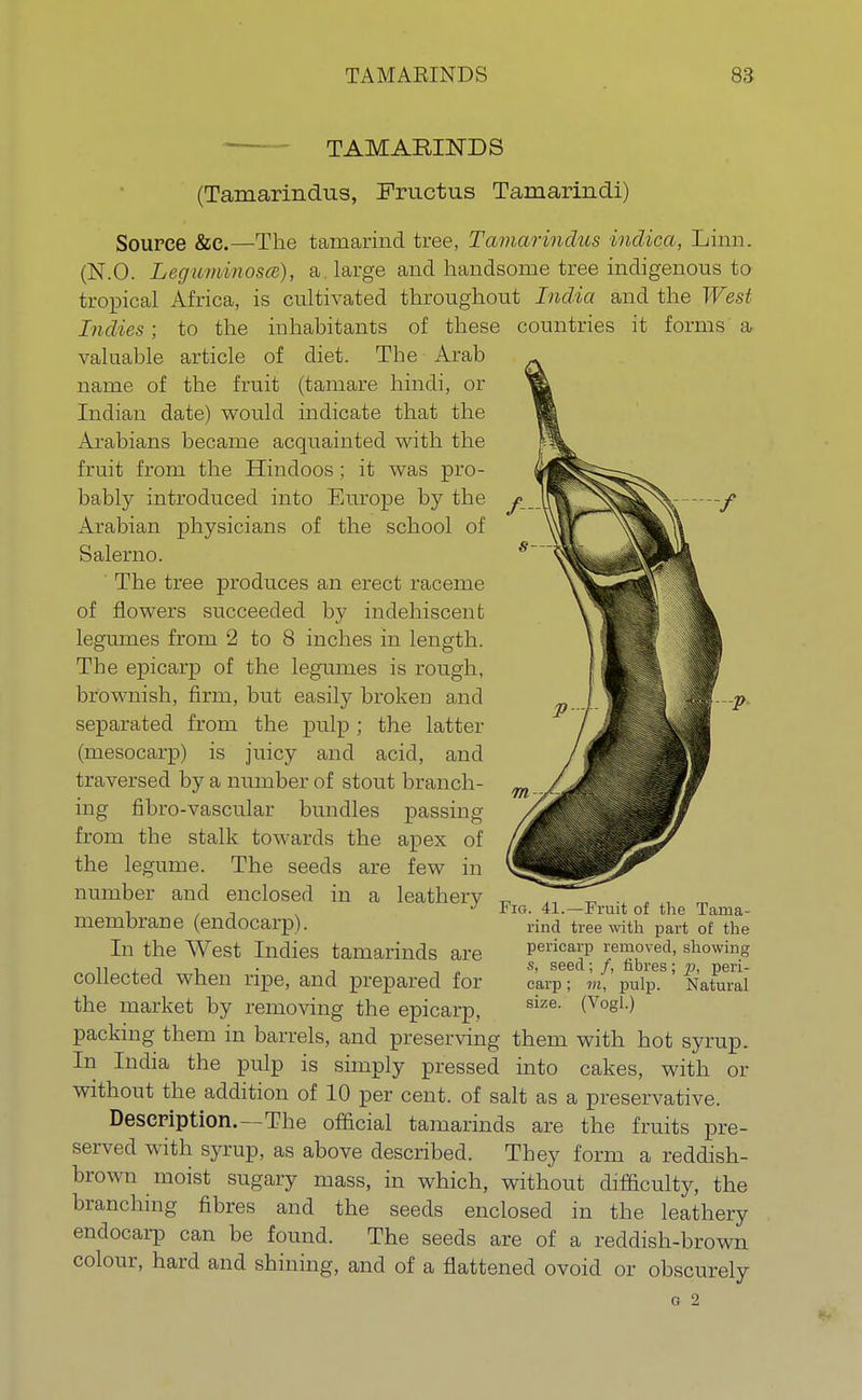 TAMARINDS (Tamarindus, Fructus Tamarindi) Source &C.—The tamarind tree, Tamarindus indica, Linn. (N.O. Leguminosce), a large and handsome tree indigenous to tropical Africa, is cultivated throughout India and the West Indies; to the inhabitants of these countries it forms a valuable article of diet. The Arab name of the fruit (tamare hindi, or Indian date) would indicate that the Arabians became acquainted with the fruit from the Hindoos ; it was pro- bably introduced into Europe by the Arabian physicians of the school of Salerno. The tree produces an erect raceme of flowers succeeded by indehiscent legumes from 2 to 8 inches in length. The epicarp of the legumes is rough, brownish, firm, but easily broken and separated from the pulp ; the latter (mesocarp) is juicy and acid, and traversed by a number of stout branch- ing fibro-vascular bundles passing from the stalk towards the apex of the legume. The seeds are few in number and enclosed in a leathery membrane (endocarp). In the West Indies tamarinds are collected when ripe, and prepared for the market by removing the epicarp, packing them in barrels, and preserving them with hot syrup. In India the pulp is simply pressed into cakes, with or without the addition of 10 per cent, of salt as a preservative. Description.—The official tamarinds are the fruits pre- served with syrup, as above described. They form a reddish- brown moist sugary mass, in which, without difficulty, the branching fibres and the seeds enclosed in the leathery endocarp can be found. The seeds are of a reddish-brown colour, hard and shining, and of a flattened ovoid or obscurely G 2 Fig. 41.—Fruit of the Tama- rind tree with part of the pericarp removed, showing s, seed; /, fibres; p, peri- carp ; vi, pulp. Natural size. (Vogl.)