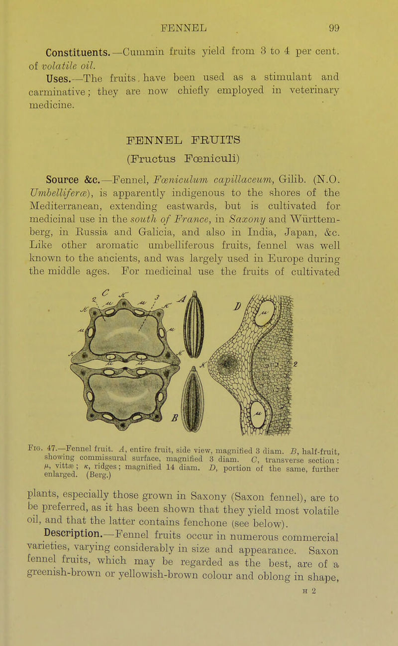 Constituents. —Cummin fruits yield from 3 to 4 per cent, of volatile oil. Uses.—The fruits. have been used as a stimulant and carminative; they are now chiefly employed in veterinary medicine. FENNEL FRUITS (Fructus Foeniculi) Source &c.—Fennel, Fceniculum capillaceum, Gilib. (N.O. UmbellifercB), is apparently indigenous to the shores of the Mediterranean, extending eastwards, but is cultivated for medicinal use in the south of France, in Saxony and Wiirttem- berg, in Russia and Galicia, and also in India, Japan, &c. Like other aromatic umbelliferous fruits, fennel was well known to the ancients, and was largely used in Europe during the middle ages. For medicinal use the fruits of cultivated Fig. 47.—Fennel fruit. A, entire fruit, side view, magnified 3 diam. B, half-fruit showing commissural surface, magnified 3 diam. C, transverse section : M> vittfe ; k, ridges; magnified 14 diam. D, portion of the same, further enlarged. (Berg.) plants, especially those grown in Saxony (Saxon fennel), are to be preferred, as it has been shown that they yield most volatile oil, and that the latter contains fenchone (see below). Description.—Fennel fruits occur in numerous commercial varieties, varying considerably in size and appearance. Saxon fennel fruits, which may be regarded as the best, are of a greenish-brown or yellowish-brown colour and oblong in shape, H 2