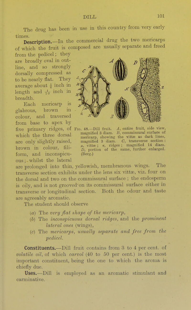 DILL The drug has been in use in this country from very early Description.—In the commercial drug the two mericarps of which the fruit is composed are usually separate and freed from the pedicel; they are broadly oval in out- line, and so strongly dorsally compressed as to be nearly flat. They average about | inch in length and TV inch in breadth. Each mericarp is glabrous, brown in colour, and traversed from base to apex by five primary ridges, of Fig. 48.—Dill fruit. A, entire fruit, side view, which the three dorsal are only slightly raised, brown in colour, fili- form, and inconspicu- ous ; whilst the lateral are prolonged into thin, yellowish, membranous wings. The transverse section exhibits under the lens six vittae, viz. four on the dorsal and two on the commissural surface ; the endosperm is oily, and is not grooved* on its commissural surface either in transverse or longitudinal section. Both the odour and taste are agreeably aromatic. The student should observe (a) The very flat shape of the mericarp, (b) The inconspicuous dorsal ridges, and the prominent lateral ones (wings), (c) The mericarps, usually separate and free from the pedicel. Constituents.—Dill fruit contains from 3 to 4 per cent, of volatile oil, of which carvol (40 to 50 per cent.) is the most important constituent, being the one to which the aroma is chiefly due. Uses.—Dill is employed as an aromatic stimulant and carminative. . l/m uiu. j-j- J »-'•«— * magnified 3 diam. B, commissural surface of mericarp, showing the vittse as dark lines, magnified 3 diam. C, transverse section: fi, vittte ; k, ridges ; magnified 14 diam. D, portion of the same, further enlarged. (Berg.)
