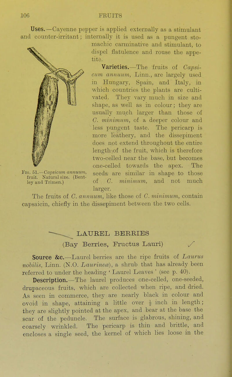 Uses.—Cayenne pepper is applied externally as a stimulant and counter-irritant; internally it is used as a pungent sto- machic carminative and stimulant, to dispel flatulence and rouse the appe- tite. Varieties.—The fruits of Capsi- cum, annuum, Linn., are largely used in Hungary, Spain, and Italy, in which countries the plants are culti- vated. They vary much in size and shape, as well as in colour; they are usually much larger than those of C. minimum, of a deeper colour and less pungent taste. The pericarp is more leathery, and the dissepiment does not extend throughout the entire length^of the fruit, which is therefore two-celled near the base, but becomes one-celled towards the apex. The seeds are similar in shape to those of C. minimum, and not much larger. The fruits of C. annuum, like those of C. minimum, contain capsaicin, chiefly in the dissepiment between the two cells. Fig. 51. — Capsicum annuum, fruit. Natural size. (Bent- ley and Trimen.) —— LAUREL BERRIES (Bay Berries, Fructus Lauri) S Source &c.—Laurel berries are the ripe fruits of Laurus nobilis, Linn. (N.O. Laurinece), a shrub that has already been referred to under the heading ' Laurel Leaves ' (see p. 40). Description.—The laurel produces one-celled, one-seeded, drupaceous fruits, which are collected when ripe, and dried. As seen in commerce, they are nearly black in colour and ovoid in shape, attaining a little over & inch in length; they are slightly pointed at the apex, and bear at the base the scar of the peduncle. The surface is glabrous, shining, and coarsely wrinkled. The pericarp is thin and brittle, and encloses a single seed, the kernel of which lies loose in the
