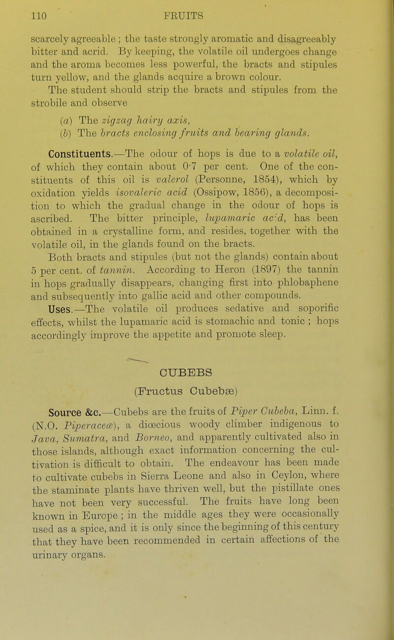 scarcely agreeable ; the taste strongly aromatic and disagreeably bitter and acrid. By keeping, the volatile oil undergoes change and the aroma becomes less powerful, the bracts and stipules turn yellow, and the glands acquire a brown colour. The student should strip the bracts and stipules from the strobile and observe (a) The zigzag hairy axis, (b) The bracts enclosing f ruits and bearing glands. Constituents.—The odour of hops is due to a volatile oil, of which they contain about 0-7 per cent. One of the con- stituents of this oil is valerol (Personne, 1854), which by oxidation yields isovaleric acid (Ossipow, 1856), a decomposi- tion to which the gradual change in the odour of hops is ascribed. The bitter principle, litpamaric ac'd, has been obtained in a crystalline form, and resides, together with the volatile oil, in the glands found on the bracts. Both bracts and stipules (but not the glands) contain about 5 per cent, of tannin. According to Heron (1897) the tannin in hops gradually disappears, changing first into phlobaphene and subsequently into gallic acid and other compounds. Uses.—The volatile oil produces sedative and soporific effects, whilst the lupamaric acid is stomachic and tonic ; hops accordingly improve the appetite and promote sleep. CTJBEBS (Fructus OubebsG) Source &c.—Cubebs are the fruits of Piper Cubeba, Linn, f. (N.O. Piperacecc), a dioecious woody climber indigenous to Java, Sumatra, and Borneo, and apparently cultivated also in those islands, although exact information concerning the cul- tivation is difficult to obtain. The endeavour has been made to cultivate cubebs in Sierra Leone and also in Ceylon, where the staminate plants have thriven well, but the pistillate ones have not been very successful. The fruits have long been known in Europe ; in the middle ages they were occasionally used as a spice, and it is only since the beginning of this century that they have been recommended in certain affections of the urinary organs.