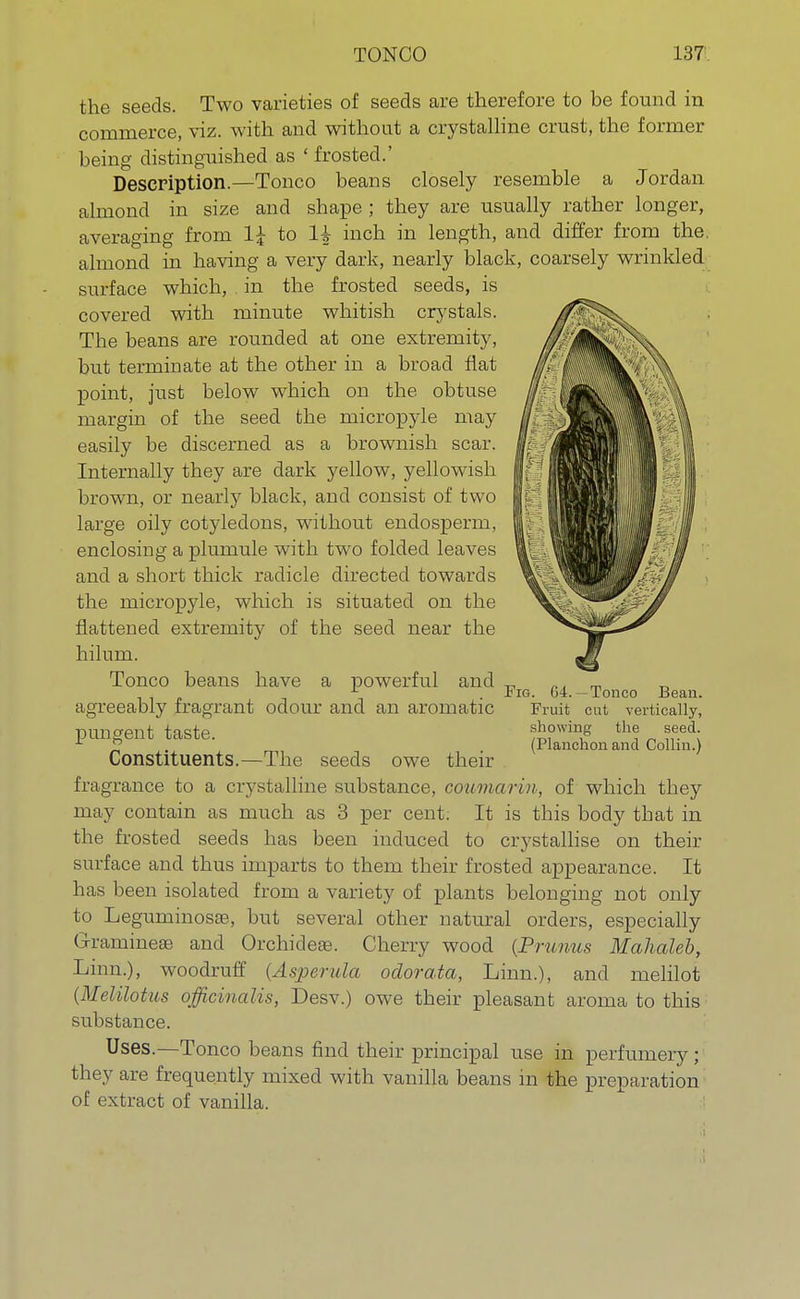 the seeds. Two varieties of seeds are therefore to be found in coinraerce, viz. with and without a crystalline crust, the former being distinguished as ' frosted.' Description.—Tonco beans closely resemble a Jordan almond in size and shape ; they are usually rather longer, averaging from 1£ to 1^ inch in length, and differ from the. almond in having a very dark, nearly black, coarsely wrinkled surface which, in the frosted seeds, is covered with minute whitish crystals. The beans are rounded at one extremity, but terminate at the other in a broad flat point, just below which on the obtuse margin of the seed the micropyle may easily be discerned as a brownish scar. Internally they are dark yellow, yellowish brown, or nearly black, and consist of two large oily cotyledons, without endosperm, enclosing a plumule with two folded leaves and a short thick radicle directed towards the micropyle, which is situated on the flattened extremity of the seed near the hilum. Tonco beans have a powerful and , 1 . Fro. 64.— Tonco Bean. agreeably fragrant odour and an aromatic Fruit cut vertically, pungent taste. showing the seed . (Planchon and Collin.) Constituents.—The seeds owe their fragrance to a crystalline substance, coumarin, of which they may contain as much as 3 per cent. It is this body that in the frosted seeds has been induced to crystallise on their surface and thus imparts to them their frosted appearance. It has been isolated from a variety of plants belonging not only to Leguminosae, but several other natural orders, especially Grammeae and Orchicleaa. Cherry wood (Primus Mahaleb, Linn.), woodruff {Asperula odorata, Linn.), and melilot (Melilotus officinalis, Desv.) owe their pleasant aroma to this substance. Uses.—Tonco beans find their principal use in perfumery; they are frequently mixed with vanilla beans in the preparation of extract of vanilla.