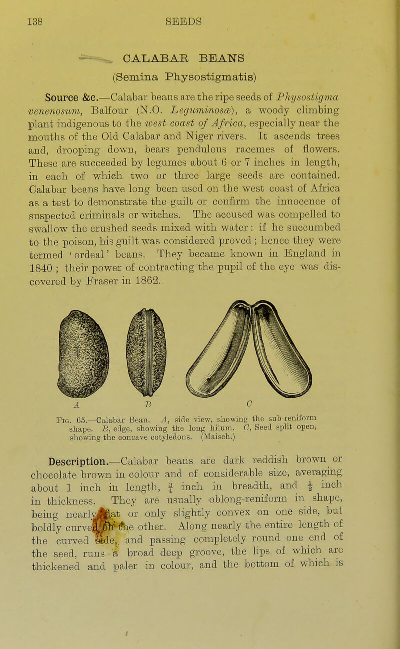 CALABAR BEANS (Semina Physostigmatis) Source &c.—Calabar beans are the ripe seeds of Physostigma venenoswm, Balfour (N.O. Leguminosce), a woody climbing plant indigenous to the ivest coast of Africa, especially near the mouths of the Old Calabar and Niger rivers. It ascends trees and, drooping down, bears pendulous racemes of flowers. These are succeeded by legumes about 6 or 7 inches in length, in each of which two or three large seeds are contained. Calabar beans have long been used on the west coast of Africa as a test to demonstrate the guilt or confirm the innocence of suspected criminals or witches. The accused was compelled to swallow the crushed seeds mixed with water : if he succumbed to the poison, his guilt was considered proved ; hence they were termed ' ordeal' beans. They became known in England in 1840 ; their power of contracting the pupil of the eye was dis- covered by Fraser in 1862. A B C Fig. 65.—Calabar Bean. A, side view, showing the sub-reniform shape. B, edge, showing the long hilum. C, Seed split open, showing the concave cotyledons. (Maisch.) Description.—Calabar beans are dark reddish brown or chocolate brown in colour and of considerable size, averaging about 1 inch in length, f inch in breadth, and £ inch in thickness. They are usually oblong-reniform in shape, being nearlyAat or only slightly convex on one side, but boldly curvo|['£h' flie other. Along nearly the entire length of the curved 8&e,. and passing completely round one end of the seed, runs t broad deep groove, the lips of which are thickened and paler in colour, and the bottom of which is