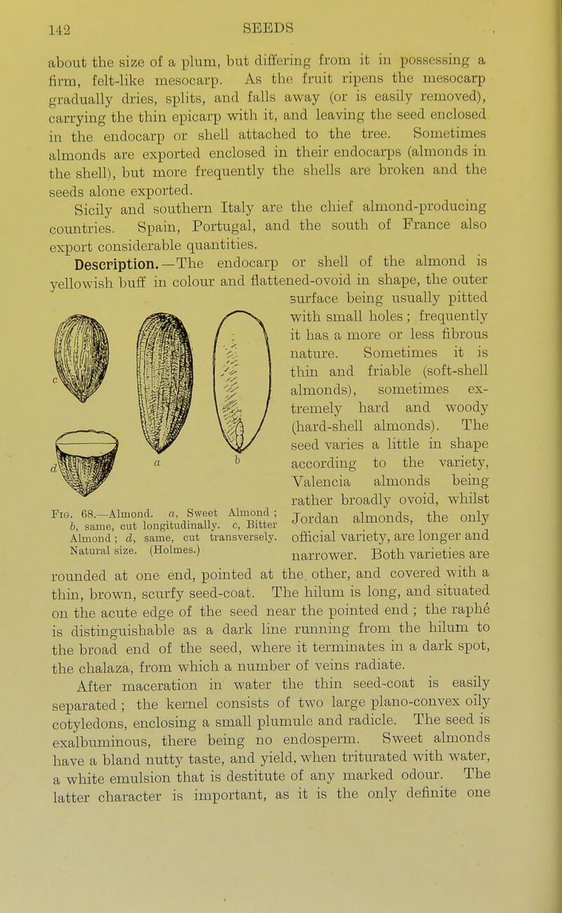 about the size of a plum, but differing from it in possessing a firm, Eelt-like mesocarp. As the fruit ripens the mesocarp gradually dries, splits, and falls away (or is easily removed), carrying the thin epicarp with it, and leaving the seed enclosed in the endocarp or shell attached to the tree. Sometimes almonds are exported enclosed in their endocarps (almonds in the shell), but more frequently the shells are broken and the seeds alone exported. Sicily and southern Italy are the chief almond-producing countries. Spain, Portugal, and the south of France also export considerable quantities. Description.—The endocarp or shell of the almond is yellowish buff in colour and flattened-ovoid in shape, the outer surface being usually pitted with small holes ; frequently it has a more or less fibrous nature. Sometimes it is thin and friable (soft-shell almonds), sometimes ex- tremely hard and woody (hard-shell almonds). The seed varies a little in shape according to the variety, Valencia almonds being rather broadly ovoid, whilst Jordan almonds, the only official variety, are longer and narrower. Both varieties are rounded at one end, pointed at the other, and covered with a thin, brown, scurfy seed-coat. The hilum is long, and situated on the acute edge of the seed near the pointed end ; the raphe is distinguishable as a dark line running from the hilum to the broad end of the seed, where it terminates in a dark spot, the chalaza, from which a number of veins radiate. After maceration in water the thin seed-coat is easily separated ; the kernel consists of two large plano-convex oily cotyledons, enclosing a small plumule and radicle. The seed is exalbuminous, there being no endosperm. Sweet almonds have a bland nutty taste, and yield, when triturated with water, a white emulsion that is destitute of any marked odour. The latter character is important, as it is the only definite one Fig. 68.—Almond, a, Sweet Almond ; b, same, cut longitudinally, c, Bitter Almond; d, same, cut transversely. Natural size. (Holmes.)