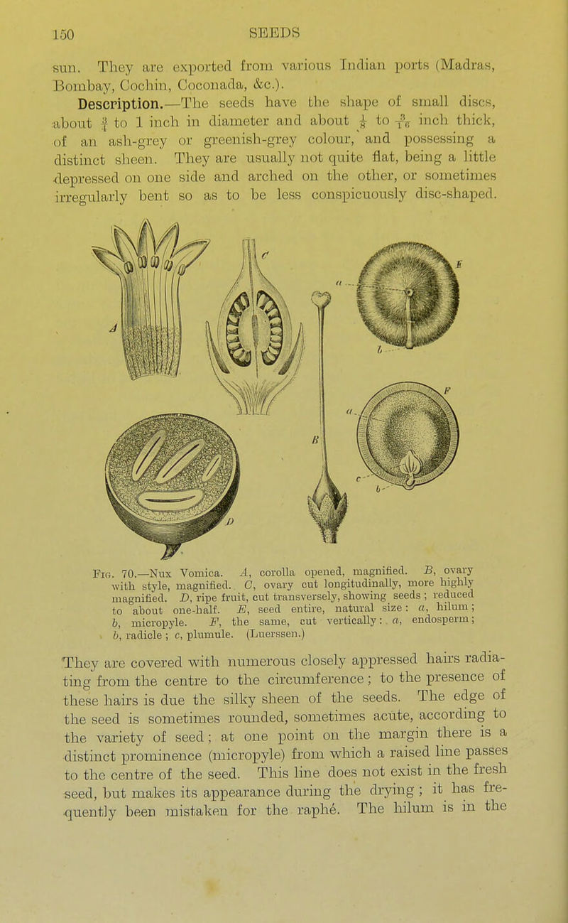 sun. They are exported from various Indian ports (Madras, Bombay, Cochin, Coconada, &c). Description.—The seeds have the shape of small discs, .•about I to 1 inch in diameter and about J to inch thick, of an ash-grey or greenish-grey colour, and possessing a distinct sheen. They are usually not quite flat, being a little ■depressed on one side and arched on the other, or sometimes irregularly bent so as to be less conspicuously disc-shaped. Fig. 70.—Nux Vomica. A, corolla opened, magnified. B, ovary with style, magnified. C, ovary cut longitudinally, more highly magnified. D, ripe fruit, cut transversely, showing seeds ; reduced to about one-half. E, seed entire, natural size: a, hilum; b, micropyle. F, the same, cut vertically: a, endosperm; b, radicle ; c, plumule. (Luerssen.) They are covered with numerous closely appressed hairs radia- ting from the centre to the circumference; to the presence of these hairs is due the silky sheen of the seeds. The edge of the seed is sometimes rounded, sometimes acute, according to the variety of seed; at one point on the margin there is a distinct prominence (micropyle) from which a raised line passes to the centre of the seed. This line does not exist in the fresh seed, but makes its appearance during the drying ; it has fre- quently been mistaken for the raphe. The hilum is in the