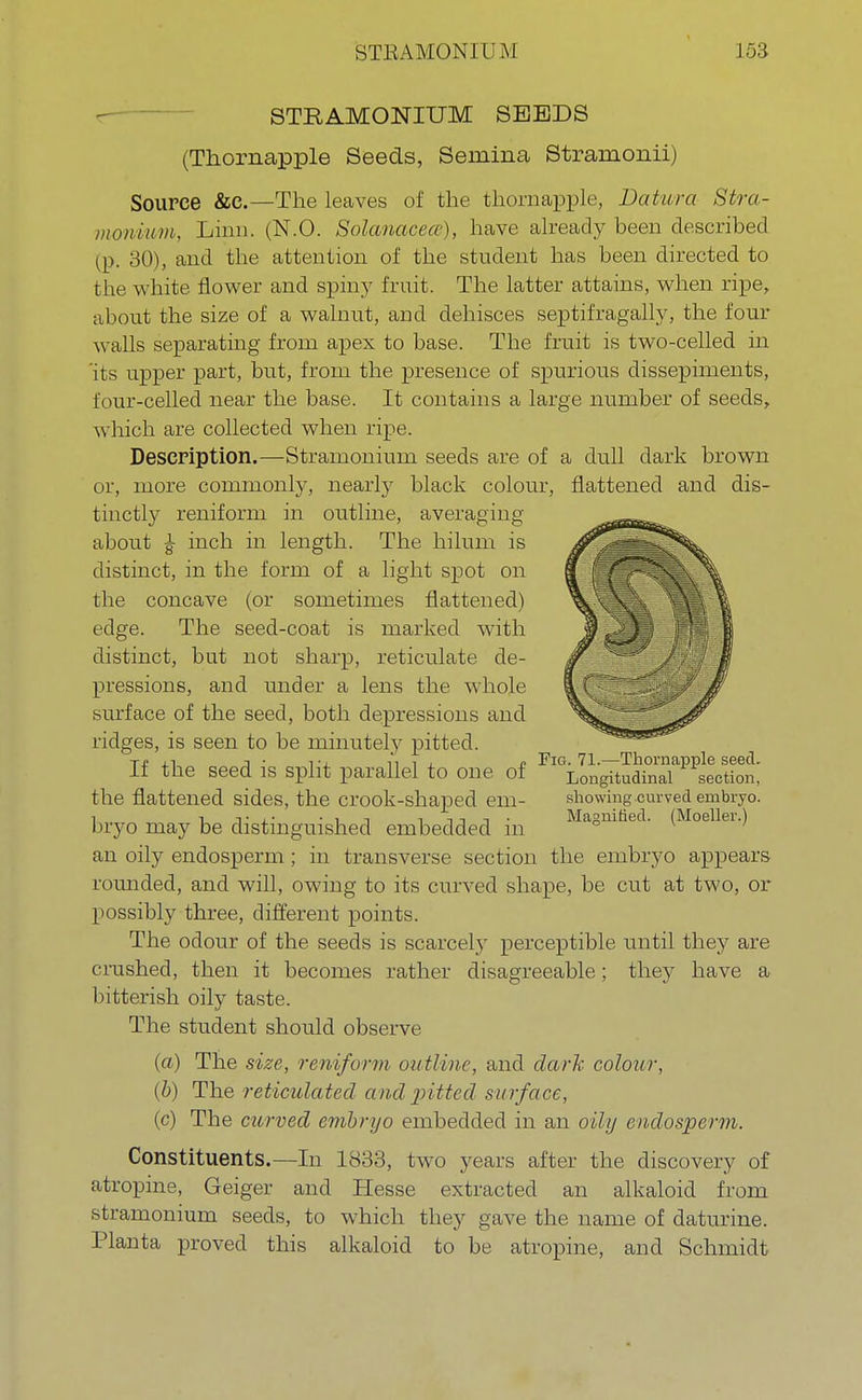 STRAMONIUM SEEDS (Thornapple Seeds, Semina Stramonii) Source &c.—The leaves of the thornapple, Datura Stra- monium, Linn. (N.O. Solanacea), have already been described (p. 30), and the attention of the student has been directed to the white flower and spiny fruit. The latter attains, when ripe, about the size of a walnut, and dehisces septifragally, the four walls separating from apex to base. The fruit is two-celled in 'its upper part, but, from the presence of spurious dissepiments, four-celled near the base. It contains a large number of seeds, which are collected when ripe. Description.—Stramonium seeds are of a dull dark brown or, more commonly, nearly black colour, flattened and dis- tinctly reniform in outline, averaging about £ inch in length. The hilum is distinct, in the form of a light spot on the concave (or sometimes flattened) edge. The seed-coat is marked with distinct, but not sharp, reticulate de- pressions, and under a lens the whole surface of the seed, both depressions and ridges, is seen to be minutely pitted. n,i j • vi n i ± p Fig. 71.—Thornapple seed, the seed is split parallel to one of Longitudinal section, the flattened sides, the crook-shaped em- showing curved embryo, bryo may be distinguished embedded in Ma8mnecL (Moeller.) an oily endosperm ; in transverse section the embryo appears rounded, and will, owing to its curved shape, be cut at two, or possibly three, different points. The odour of the seeds is scarcely perceptible until they are crushed, then it becomes rather disagreeable; they have a bitterish oily taste. The student should observe (a) The size, reniform outline, and dark colour, {b) The reticulated and pitted surface, (c) The curved embryo embedded in an oily endosperm. Constituents.—In 1833, two years after the discovery of atropine, Geiger and Hesse extracted an alkaloid from stramonium seeds, to which they gave the name of daturine. Planta proved this alkaloid to be atropine, and Schmidt