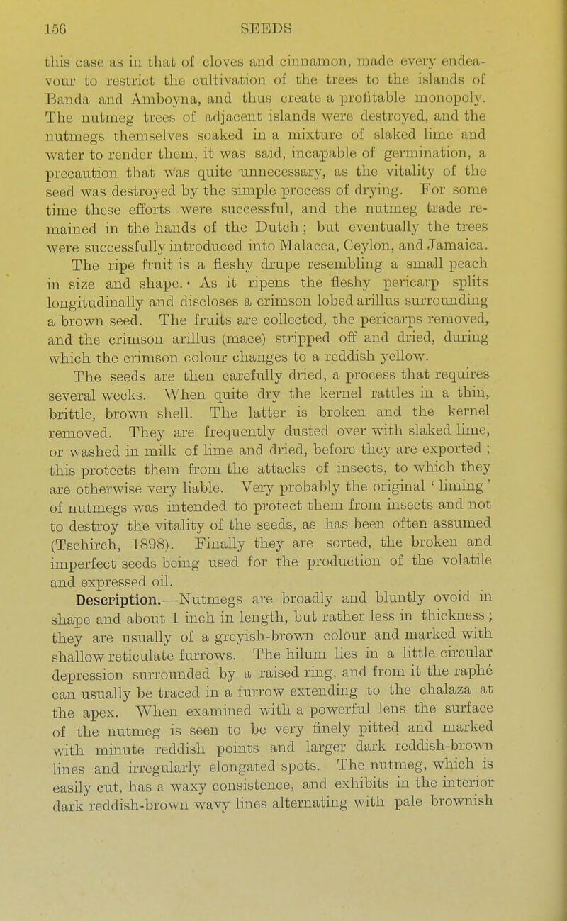 vour to restrict tin- cultivation of the trees to the islands of Ban da and Amhoyna, and thus create a profitable monopoly. The nutmeg trees of adjacent islands were destroyed, and the nutmegs themselves soaked in a mixture of slaked lime and water to render them, it was said, incapable of germination, a precaution that was quite unnecessary, as the vitality of the seed was destroyed by the simple process of drying. For some time these efforts were successful, and the nutmeg trade re- mained in the hands of the Dutch ; but eventually the trees were successfully introduced into Malacca, Ceylon, and Jamaica. The ripe fruit is a fleshy drupe resembling a small peach in size and shape. • As it ripens the fleshy pericarp splits longitudinally and discloses a crimson lobed arillus surrounding a brown seed. The fruits are collected, the pericarps removed, and the crimson arillus (mace) stripped off and dried, during which the crimson colour changes to a reddish yellow. The seeds are then carefully dried, a process that requires several weeks. When quite dry the kernel rattles in a thin, brittle, brown shell. The latter is broken and the kernel removed. They are frequently dusted over with slaked lime, or washed in milk of lime and dried, before they are exported ; this protects them from the attacks of insects, to which they are otherwise very liable. Very probably the original ' liming' of nutmegs was intended to protect them from insects and not to destroy the vitality of the seeds, as has been often assumed (Tschirch, 1898). Finally they are sorted, the broken and imperfect seeds being used for the production of the volatile and expressed oil. Description.—Nutmegs are broadly and bluntly ovoid in shape and about 1 inch in length, but rather less in thickness ; they are usually of a greyish-brown colour and marked with shallow reticulate furrows. The hilum lies in a little circular depression surrounded by a raised ring, and from it the raphe can usually be traced in a furrow extending to the chalaza at the apex. When examined with a powerful lens the surface of the nutmeg is seen to be very finely pitted and marked with minute reddish points and larger dark reddish-brown lines and irregularly elongated spots. The nutmeg, which is easily cut, has a waxy consistence, and exhibits in the interior dark reddish-brown wavy lines alternating with pale brownish.