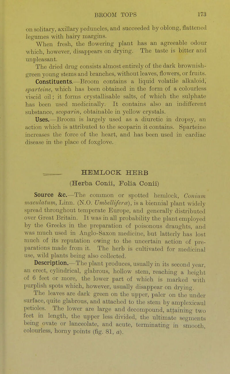 on solitary, axillary peduncles, and succeeded by oblong, flattened legumes with hairy margins. When fresh, the flowering plant has an agreeable odour which, however, disappears on drying. The taste is bitter and unpleasant. The dried drug consists almost entirely of the dark brownish- green young stems and branches, without leaves, flowers, or fruits. Constituents.—Broom contains a liquid volatile alkaloid, sparteine, which has been obtained in the form of a colourless viscid oil; it forms crystaUisable salts, of which the sulphate has been used medicinally. It contains also an indifferent substance, scoparin, obtainable in yellow crystals. Uses.—Broom is largely used as a diuretic in dropsy, an action which is attributed to the scoparin it contains. Sparteine increases the force of the heart, and has been used in cardiac disease in the place of foxglove. =_ HEMLOCK HERB (Herba Conii, Folia Oonii) Source &C.—The common or spotted hemlock, Con mm maculatum, Linn. (N.O. Umbettiferce), is a biennial plant widely- spread throughout temperate Europe, and generally distributed over Great Britain. It was in all probability the plant employed by the Greeks in the preparation of poisonous draughts, and was much used in Anglo-Saxon medicine, but latterly has lost much of its reputation owing to the uncertain action of pre- parations made from it. The herb is cultivated for medicinal use, wild plants being also collected. Description.—The plant produces, usually in its second year, an erect, cylindrical, glabrous, hollow stem, reaching a height of 6 feet or more, the lower part of which is marked with purplish spots which, however, usually disappear on drying. The leaves are dark green on the upper, paler on the under surface, quite glabrous, and attached to the stem by amplexicaul petioles. The lower are large and decompound, attaining two feet in length, the upper less divided, the ultimate segments being ovate or lanceolate, and acute, terminating in smooth, colourless, horny points (fig. 81, a).