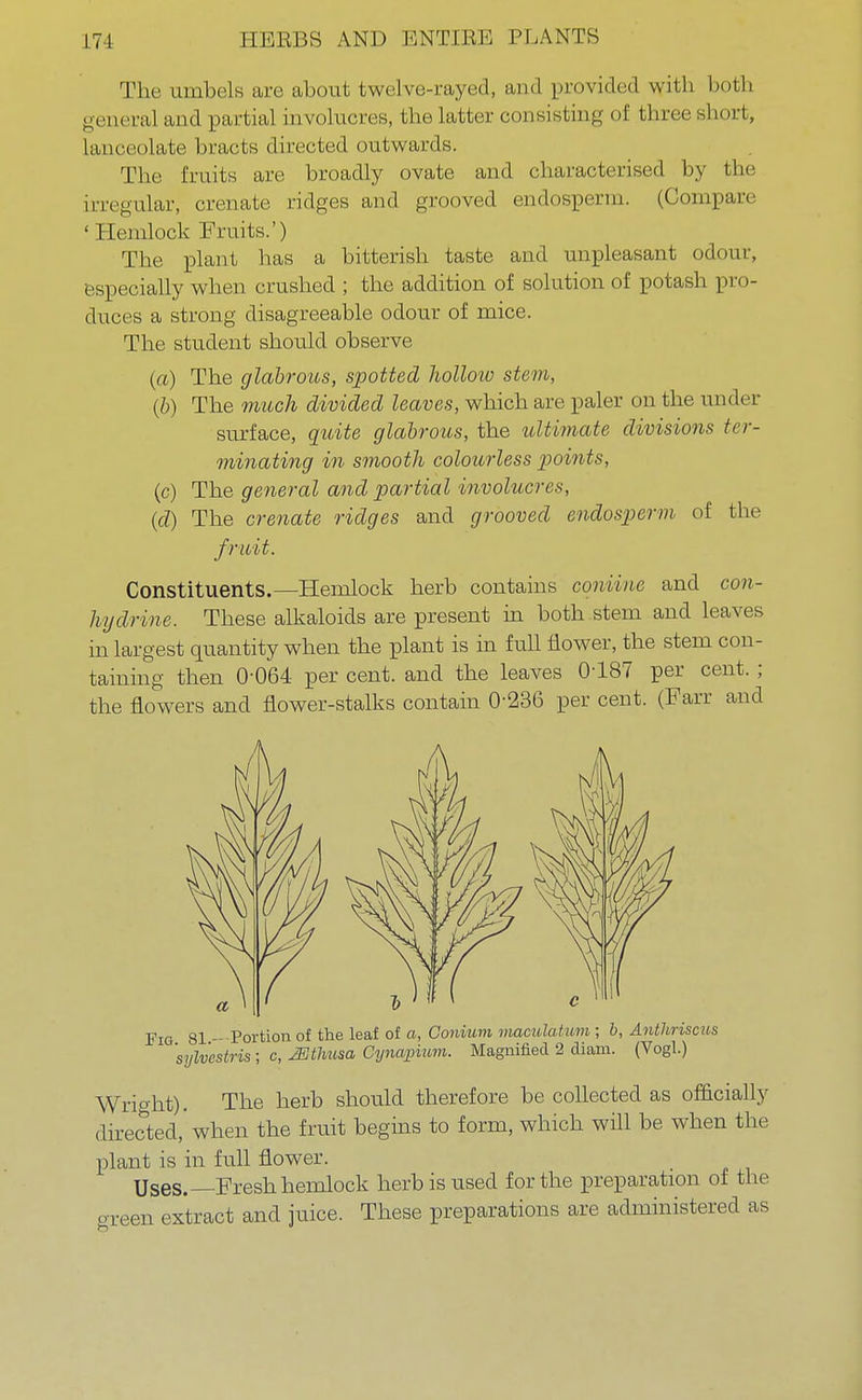 The umbels are about twelve-rayed, and provided with both general and partial involucres, the latter consisting of three short, lanceolate bracts directed outwards. The fruits are broadly ovate and characterised by the irregular, crenate ridges and grooved endosperm. (Compare 'Hemlock Fruits.') The plant has a bitterish taste and unpleasant odour, especially when crushed ; the addition of solution of potash pro- duces a strong disagreeable odour of mice. The student should observe (a) The glabrous, spotted hollow stem, (b) The much divided leaves, which are paler on the under surface, quite glabrous, the ultimate divisions ter- minating in smooth colourless points, (c) The general and partial involucres, (d) The crenate ridges and grooved endosperm of the fruit. Constituents.—Hemlock herb contains coniiue and con- hydrine. These alkaloids are present in both stem and leaves in largest quantity when the plant is in full flower, the stem con- taining then 0-064 per cent, and the leaves 0187 per cent.; the flowers and flower-stalks contain 0-236 per cent. (Farr and Fig 81 —Portion of the leaf of a, Gonium maculatum ; b, Anthriscus 'sylvestris; c, JEtMisa Cynapium. Magnified 2 diam. (Vogl.) Wright). The herb should therefore be collected as officially directed,' when the fruit begins to form, which will be when the plant is in full flower. USes.—Fresh hemlock herb is used for the preparation of the green extract and juice. These preparations are administered as