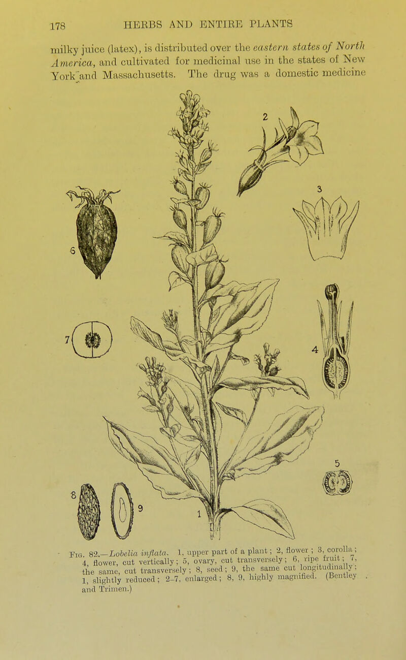 milky juice (latex), is distributed over the eastern slates of North America, and cultivated for medicinal use in the states of New York and Massachusetts. The drug was a domestic medicine Fig &2.-Lobclia inflata. 1, upper part of a plant; 2, flower ; 3 corolla; 4, flower, cut vertically; 5, ovary, cut transversely; 6, ripe fruit; , the same, cut transversely; 8, seed; 9, the same cut^^gj' 1, slightly reduced ; '2-7, enlarged; 8, 9, highly magnified. (Bentlev and Trimen.)