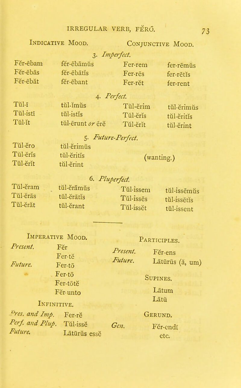 Indicative Mood. Conjunctive Mood, 3. Imperfect. Fer-ebam Fer-ebas Fer-ebat Tul-i Tul-isti Tul-it 1 ul-ero 1 ul-ens Tul-erit 1 ul-eram Tiil-eras Tul-erat fer-ebam lis fer-ebatis fer-ebant Fer-rem Fer-res Fer-ret 4. Perfect. tul-imus tiil-istis tul-erunt or ere Tul-erim i ul-ens Tiil-erit fer-remus fer-rgtis far-rent tul-erimiis tul-eritis tiil-erint 5. Future-Perfect. tul-erimiis tiil-eritis (wanting.) tul-erint tiil-eramiis tiil-eratis tiil-erant 6. Pluperfect. Tiil-issem Tiil-isses Tiil-isset tul-issemus tiil-issetis tiil-issent Imperative Mood. Present. Fer Fer-te Future. Fer-to Fer-to Fer-tote Fer-unto Infinitive. Pres. mid Imp. Fer-re Perf and Plup. Tiil-isse Future, Laturiis esse Participles. Present. Fer-ens Future. Laturus (a, um) Supines. Latum Latu Gerund. Gc7i. Fer-cndi etc.