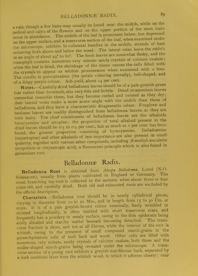a rule though a few hairs may usually be found near the midrib while on the occur n abundLce. The midrib of the leaf is prominent below, but depressed on the upper surface, and a transverse section of the leaf, when examined unde the microscope, exhibits bi-coUateral bundles in the midnb, strands of bast occumng both kbove and below the wood. The lateral vems leave the mjdrib at an angle of about 45° to 60°. The fresh leaves are somewhat fleshy, and the .nesophyll contains numerous very minute sandy crystals of -= when the leaf is dried, the shrinkage of the tissue causes the cells filled with the crystals to appear as whitish prominences when exammed with a lens^ The corolla is gamopetalous (the petals cohering laterally), bell-shaped, and of a dingy purple colour. Ash-yield, about 14 per cent. Notes —Carefully dried belladonna leaves should be of a pale greyish-green hue rather than brownish, also very thin and brittle. Dried stramonmm leaves .omewhat resemble them, but they become curled and twisted as they dry; cheir lateral veins make a more acute angle with the midrib than those of belladonna, and they have a characteristic disagreeable odour. Foxglove and henbane leaves are readily distinguished from belladonna leaves as they are both hairy The chief constituents of belladonna leaves are the alkaloids hyoscyamine and atropine; the proportion of total alkaloid present in the dried leaves should be 0-3 to 0-4 per cent., but as much as i per cent has been found, the greater proportion consisting of hyoscyamine. Belladonnine (oxyatropine) and other alkaloids of less importance are also present in small quantity, together with various other compounds, including /3-methyl-aesculetm (scopoletin or chrysatropic acid), a fluorescent principle which is also found ra gelseniium root. Belladonnae Radix. Belladonna Root is obtained from Atropa Belladonna, Linne (N^O. Solanace^), usually from plants cultivated in England or Germany. The stout, branching tap-root is collected in the autumn when about three or four years old, and carefully dried. Both old and exhausted roots are excluded by the official description. Characters -Belladonna root should be in nearly cylindrical pieces, varying in diameter from 10 to 20 Mm., and in length from 15 to 30 Cm. or more It is of a pale greyish-brown colour externally, finely wrinkled or striated longitudinally, is often marked with short transverse scars and frequently has a powdery or mealy surface, owing to the thm epidermis being easily abraded and starchy matter beneath becoming detached. The trans- verse fracture is short, and not at all fibrous, while the interior of the root is whitish owing to the presence of small compound starch-grains m the parenchymatous cells of both bark and wood. Other cells are filled with numerous, very minute, sandy crystals of calcium oxalate, both those and the muUer-shaped starch-grains being revealed under the microscope. A trans- verse section of a young root exhibits a greyish non-fibrous bark, separated by a dark cambium laver from the whitish wood, to which it adheres closely ; near