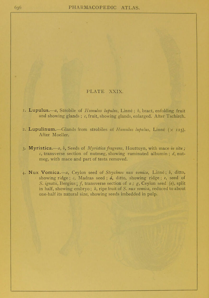 PLATE XXIX. 1. Lupulus.—a, Strobile of Hiimulus lupuhis, Linne ; b, bract, enfolding fruit and showing glands ; c, fruit, showing glands, enlarged. After Tschirch. 2. Lupulinum.—Glands from strobiles of Humuhs liipuliis, Linne (x 125). After Moeller. 3. Myristica.—a, b, Seeds of Myristica fragrans, Houttuyn, with mace in situ ; c, transverse section of nutmeg, showing ruminated albumin ; d, nut- meg, with mace and part of testa removed. 4. Nux Vomica.—a, Ceylon seed of Strychnos mix vomica, Linne; ditto, showing ridge ; c, Madras seed ; d, ditto, showing ridge ; e, seed of S. ignatii, Bergius; /, transverse section of a; g, Ceylon seed (a), split in half, showing embryo ; ripe fruit of 5. Jiux vomica, reduced to about one-half its natural size, showing seeds imbedded in pulp.