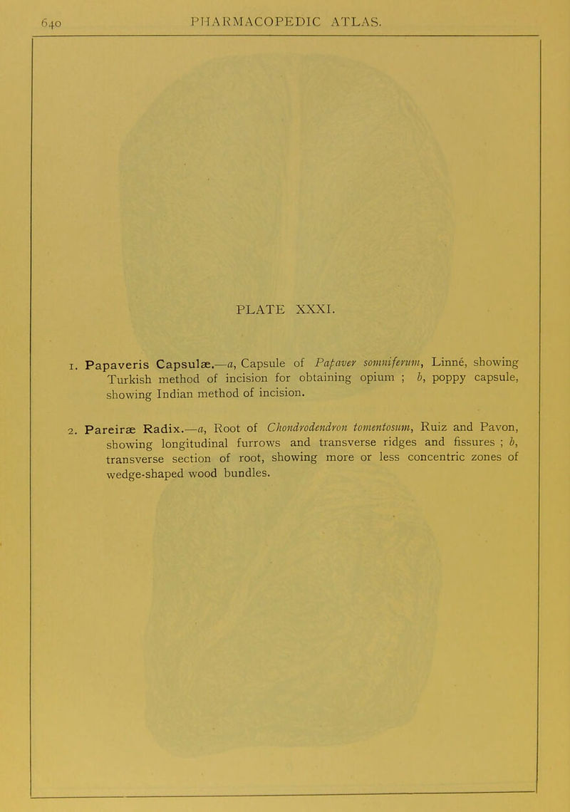 PLATE XXXL 1. Papaveris Capsulse—a, Capsule of Papavev sovinifenim, Linne, showing Turkish method of incision for obtaining opium ; b, poppy capsule, showing Indian method of incision. 2. Pareirse Radix.—a, Root of Chondvodendvon tomentosum, Ruiz and Pavon, showing longitudinal furrows and transverse ridges and fissures ; b, transverse section of root, showing more or less concentric zones of wedge-shaped wood bundles.
