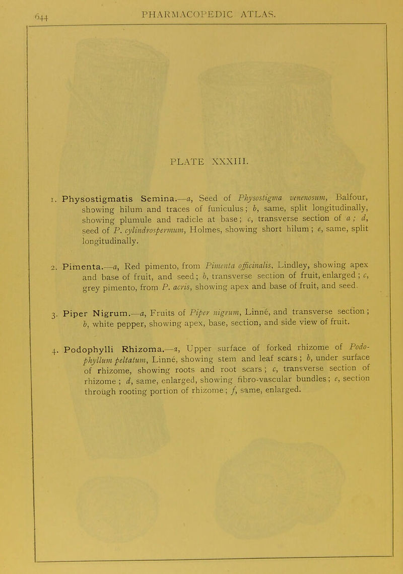 PLATE XXXin. 1. Physostigmatis Semina.—a, Seed of Physostigma venenosum, Balfour, showing hilum and traces of funiculus; b, same, split longitudinally, showing plumule and radicle at base; c, transverse section of a; d, seed of P. cylindrospermum, Holmes, showing short hilum; e, same, split longitudinally. 2. Pimenta.—a, Red pimento, from Pimenta officinalis, Lindley, showing apex and base of fruit, and seed; h, transverse section of fruit, enlarged ; c, grey pimento, from P. acris, showing apex and base of fruit, and seed. 3. Piper Nigrum.—a, Fruits of Pipev nigrum, Linne, and transverse section; b, white pepper, showing apex, base, section, and side view of fruit. 4. Podophylli Rhizoma—a, Upper surface of forked rhizome of Podo- phyllum peltaium, Linne, showing stem and leaf scars ; b, under surface of rhizome, showing roots and root scars; c, transverse section of rhizome ; d, same, enlarged, showing fibro-vascular bundles; c, section through rooting portion of rhizome; /, same, enlarged.