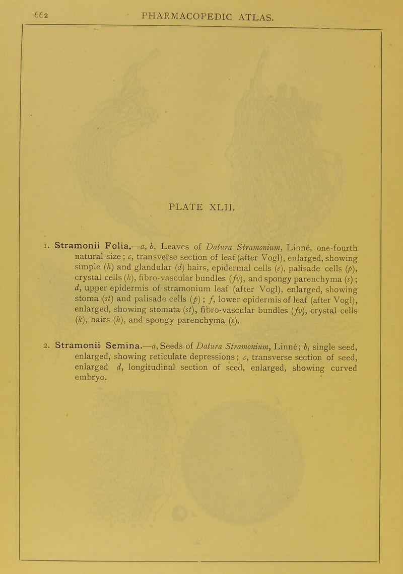 PLATE XLIL 1. Stramonii Folia.—a, h, Leaves of Datura Stramonium, Linne, one-fourth natural size ; c, transverse section of leaf (after Vogl), enlarged, showing simple (A) and glandular (d) hairs, epidermal cells (e), palisade cells (/>), crystal cells {k), fibro-vascular bundles (Jv), and spongy parenchyma (s); d, upper epidermis of stramonium leaf (after Vogl), enlarged, showing stoma {st) and palisade cells {p); /, lower epidermis of leaf (after Vogl), enlarged, showing stomata {st), fibro-vascular bundles {fv), crystal cells {k), hairs {h), and spongy parenchyma (s). 2. Stramonii Semina.—a. Seeds of Datum Stramonium, Linne; b, single seed, enlarged, showing reticulate depressions; c, transverse section of seed, enlarged d, longitudinal section of seed, enlarged, showing curved embryo.