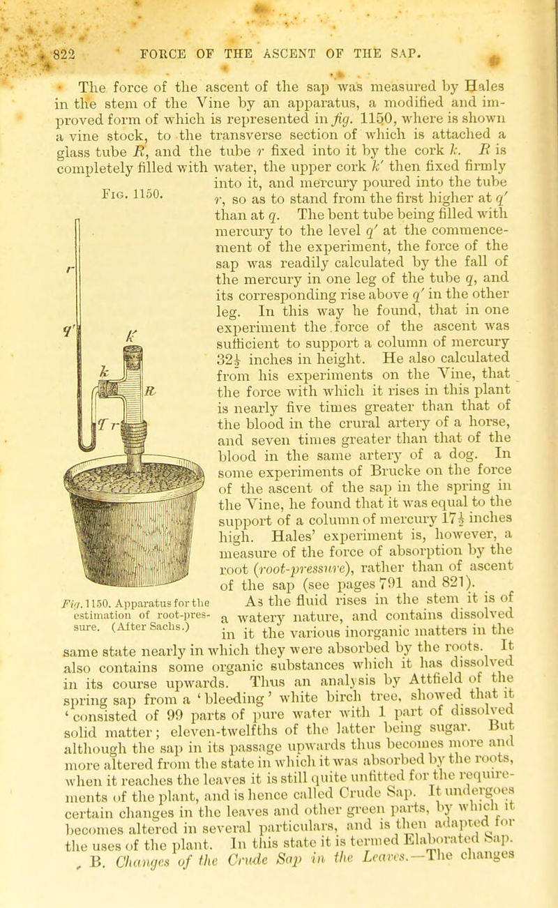 Fig. 1150. ■ The force of the ascent of the sap was measured by Hales in the stem of the Vine by an apparatus, a modified and im- proved form of which is represented in Jig. 1150, where is shown a vine stock, to the transverse section of which is attached a glass tube it, and the tube r fixed into it by the cork /.-. B is completely filled with water, the upper cork k' then fixed firmly into it, and mercury poured into the tube r, so as to stand from the first higher at q' than at q. The bent tube being filled with mercury to the level q' at the commence- ment of the experiment, the force of the sap was readily calculated by the fall of the mercury in one leg of the tube q, and its corresponding rise above q' in the other leg. In this way he found, that in one experiment the. force of the ascent was sufficient to support a column of mercury 32^ inches in height. He also calculated from his experiments on the Vine, that the force with which it rises in this plant is nearly five times greater than that of the blood in the crural artery of a horse, and seven times greater than that of the blood in the same artery of a dog. In some experiments of Brucke on the force of the ascent of the sap in the spring in the Vine, he found that it was equal to the support of a column of mercury 17 h inches high. Hales' experiment is, however, a measure of the force of absorption by the root {root-pressure), rather than of ascent of the sap (see pages 791 and 821). As the fluid rises in the stem it is of a watery nature, and contains dissolved in it the various inorganic matters in the same state nearly in which they were absorbed by the ™ots- It also contains some organic substances which it has dissolved in its course upwards. Thus an analysis by Attfield of the spring sap from a ' bleeding' white birch tree, showed that it ' consisted of 99 parts of pure water with 1 part of dissolved solid matter; eleven-twelfths of the latter being sugar. But although the sap in its passage upwards thus becomes more ami more altered from the state in which it was absorbed by the mots, when it reaches the leaves it is still quite unfitted for the require- menta of the plant, and is hence called Crude Sap. It undergoes certain changes in the leaves and other green parts, by which it becomes altered in several particulars, and is then adapted tor the uses of the plant. In this state it is termed Elaborated bap. , B. Changes of the Crude Sap in the Leaves.-The changes Fbj. 1150. Apparatus for tlie estimation of root-pres- sure. (After Sacbs.)