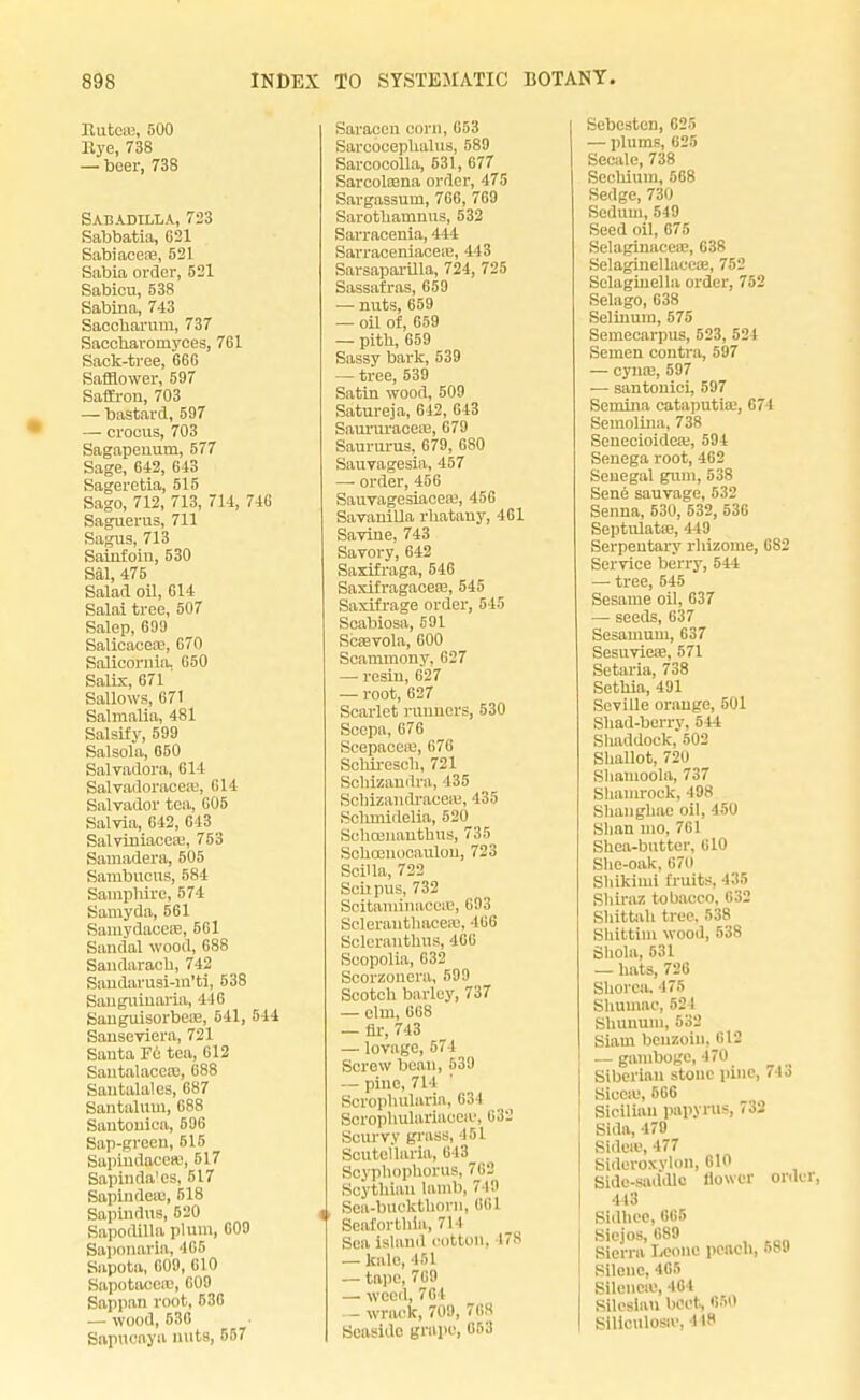 llutoiB, 500 Rye, 738 — beer, 738 Sabadilla, 723 Sabbatia, 021 Sabiacere, 521 Sabia order, 521 Sabieu, 538 Sabina, 743 Saecharura, 737 Saccharomyces, 761 Sack-tree, 66G Safflower, 597 SafEron, 703 — bastard, 597 — crocus, 703 Sagapenum, 577 Sage, 642, 643 Sageretia, 515 Sago, 712, 713, 714, 746 Saguerus, 711 Sagua, 713 Sainfoin, 530 Sal, 475 Salad oil, 614 Salai tree, 507 Salep, 699 SalicaeeiE, 670 Salicornia. 650 Salix, 671 Sallows, 671 Salmalia, 481 Salsify, 599 Salsola, 050 Salvadora, 614 Salvadoracea:, 014 Salvador tea, 005 Salvia, 642, 643 Salviniacea;, 753 Samadera, 505 Sanibucus, 584 Samphire, 574 Samyda, 561 Samydacea3, 561 Sandal wood, 688 Sandarach, 742 Sandarusi-m'ti, 538 Sauguiuaria, 446 Sanguisorbere, 541, 544 Sauseviera, 721 Santa F6 tea, 612 Santalaccaj, 688 Santalales, 687 Santaluui, 688 Santouica, 596 Sap-green,515 Sapindacete, 517 Sapinda'es, 517 Sapindeie, 518 Sapindns, 520 Sapodilla plum, 609 Saponaria, 465 Sapota, 609, 610 Sapotacca:, 609 Sappan root, 530 — wood, 536 Sapnoaya nuts, 557 Saracen corn, 053 Sarcocephalus, 589 Sarcocolla, 631, 677 Sarcolsena order, 475 Sargassum, 766, 769 Sarotbamnus, 532 Sarracenia, 444 Sarraceniaceie, 443 Sarsaparilla, 724, 725 Sassafras, 659 — nuts, 659 — oil of, 059 — pith, 659 Sassy bark, 539 — tree, 539 Satin wood, 509 Satureja, 642, 643 Saururaceie, 679 Saururus, 679, 680 Sauvagesia, 457 — order, 456 Sauvagesiacea;, 456 Savanilla rliatany, 461 Savine, 743 Savory, 642 Saxifraga, 546 Saxifragacea;, 545 Saxifrage order, 545 Scabiosa, 591 Scaivola, 600 Scammony, 627 — resin, 627 — root, 627 Scarlet runners, 530 Scepa, 670 Scepaccai, 670 Schirescli, 721 Schizandra, 435 Sohizandraceffi, 435 Schinidelia, 520_ Sohoenauthus, 735 Schcenocaulon, 723 SciUa, 722 Schpus, 732 ScitaminaoosB, 693 Sclerauthaceaa, 466 Sclerauthus, 460 Scopolia, 632 Scorzonera, 599 Scotch barley, 737 — elm, 668 — fir, 743 — lovage, 574 Screw bean, 539 — pine, 714 ' Scrophularia, 631 Scrophul:iri;uT:r, 632 Scurvy grass, 451 Scutellaria, 013 Soyphophorus, 763 Scythian lamb, 710 Sea-buckthorn, 061 Seaforthia, 714 Sea Island cotton, 178 — kale, 451 — tape, 769 — weed, 704 - wrack, 709, 70S Seaside grape, 053 Sebesten, 625 — plums, 625 Secale, 738 Sechium, 568 Sedge, 730 Sedum, 549 Seed oil, 075 Selaginacea?, 038 Selaginellaceaa, 752 Selagiuella order, 752 Selago, 638 Selinum, 575 Semecarpus, 523, 524 Semen contra, 597 — cynre, 597 — santonici, 597 Semina cataputia;, 674 Semolina, 738 Senecioidea;, 594 Senega root, 462 Senegal gum, 538 Sene sauvage, 532 Senna, 530, 532, 536 Septulata;, 449 Serpeutary rhizome, 0S2 Service berry, 544 — tree, 545 Sesame oil, 037 — seeds, 637 Sesamum, 637 Sesuviea;, 571 Setaria, 738 Sethia, 491 Seville orange, 501 Shad-berry, 544 Shaddock, 502 Shallot, 720 Shamoola, 737 Shamrock, 498 Shanghac oil, 450 Shan mo. 7G1 Shea-butter, 010 She-oak. 070 Shikimi fruits. 435 Shiraz tobacco, 032 Shittah tree. 538 Shittim wood, 538 Shola, 631 — hats, 720 Shorca. 475 Shumao, 521 Shunum, 632 Siam benzoin. 6IS — gamboge, 470 Siberian stone pine, 713 Sicca;, 606 Sicilian papyrus, 732 Sida, 479 Sideic, 477 Sideroxylon, 610 Side-saddle flower ordc 443 Sldhee, cos Sicjos, 689 Sierra Leone peach, 589 Silcuc, 405 BUeneffl, 401 Rilcslau beet, 050 BlUoUlOStB, 118