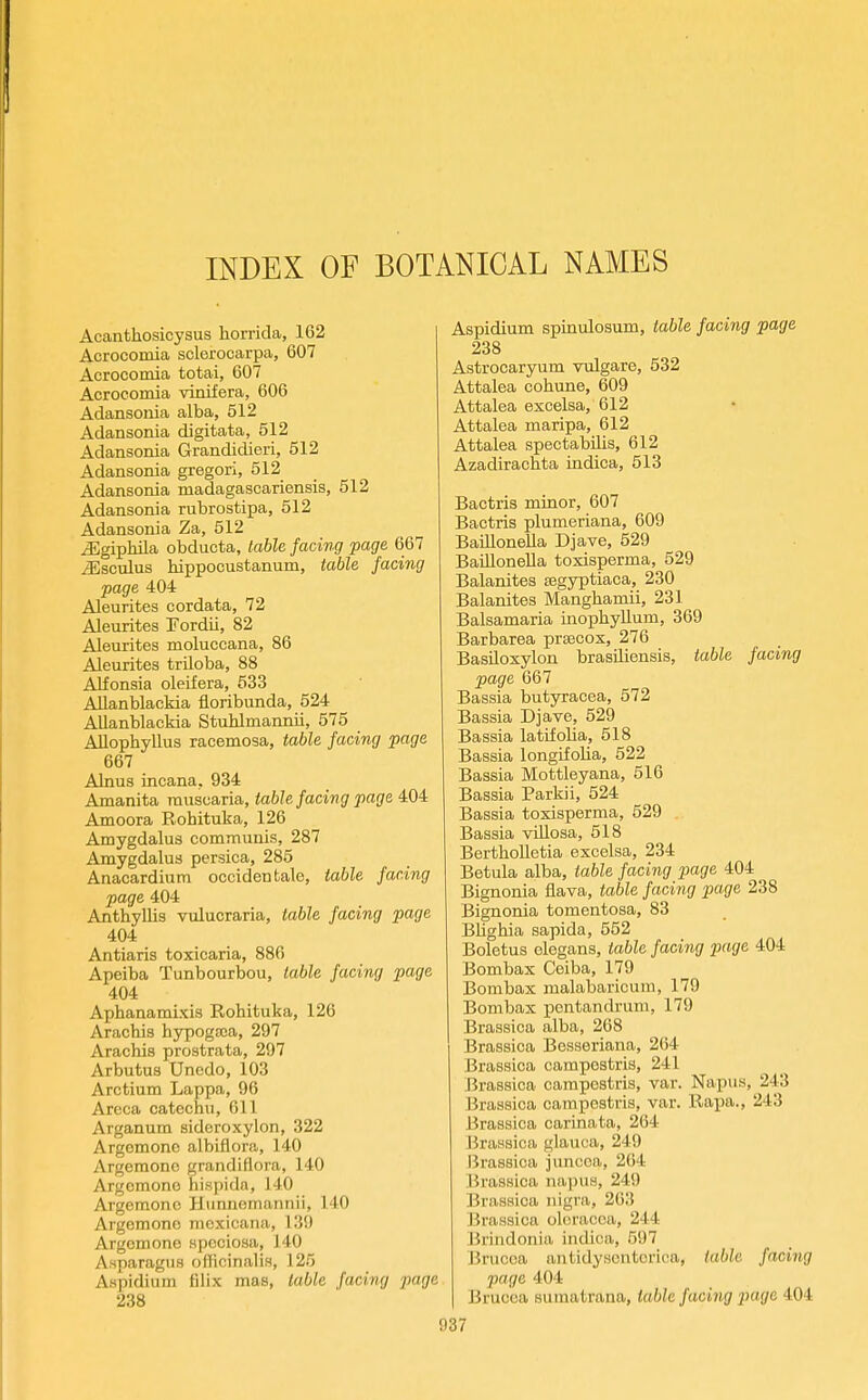 Acanthosicysus horrida, 162 Acrooomia sclerocarpa, 607 Acrocomia totai, 607 Acrocomia vinifera, 606 Adansonia alba, 512 Adansonia digitata, 512 Adansonia Grandidieri, 512 Adansonia gregori, 512 Adansonia madagascariensis, 512 Adansonia rubrostipa, 512 Adansonia Za, 512 ^giphila obducta, table facing page 667 iEsculus hippocustanum, table facing page 404 Aleurites cordata, 72 Aleurites Fordii, 82 Aleurites moluccana, 86 Aleurites triloba, 88 Alfonsia oleifera, 533 Allanblackia floribunda, 524 AUanblackia Stuhlmanmi, 575 AUophyllus racemosa, table facing page 667 Alnus incana, 934 Amanita rausuaria, table facing page 404 Amoora Rohituka, 126 Amygdalus communis, 287 Amygdalus persica, 285 Anacardium occidental, table facing page 404 Anthyllis vulucraria, table facing page 404 Antiaris toxicaria, 886 Apeiba Tunbourbou, table facing page 404 Aphanamixis Rohituka, 126 Arachis hypoga3a, 297 Arachis prostrata, 297 Arbutus Unedo, 103 Arctium Lappa, 96 Areca catechu, 611 Arganum sideroxylon, 322 Argemone albiflora, 140 Argemono grandiflora, 140 Argemone faiKpida, 140 Argemone Hiinnemannii, 140 Argemone niexicana, 139 Argemone spociosa, 140 Asparagus oflicinalis, 125 Aspidium tilix mas, table facing page 238 Aspidium spinulosum, table facing page 238 Astrocaryum vulgare, 532 Attalea cohune, 609 Attalea excelsa, 612 Attalea maripa, 612 Attalea spectabilis, 612 Azadirachta indica, 513 Bactris minor, 607 Bactris plumeriana, 609 BaUlonella Djave, 529 BaiUonella toxisperma, 529 Balanites segyptiaca, 230 Balanites Manghamii, 231 Balsamaria inophyUum, 369 Barbarea prsecox, 276 BasUoxylon brasUiensis, table facing page 667 Bassia butyracea, 572 Bassia Djave, 529 Bassia latrfolia, 518 Bassia longifolia, 522 Bassia Mottleyana, 516 Bassia Parkii, 524 Bassia toxisperma, 529 Bassia vUlosa, 518 BerthoUetia excelsa, 234 Betula alba, table facing page 404 Bignonia flava, table facing page 238 Bignonia tomentosa, 83 BUghia sapida, 552 Boletus elegans, table facing page 404 Bombax Ceiba, 179 Bombax raalabaricum, 179 Bombax pentandrum, 179 Brassica alba, 268 Brassica Besseriana, 264 Brassica campestris, 241 Brassica campestris, var. Napus, 243 Brassica campestris, var. Rai)a., 243 Brassica carinata, 264 Brassica glauca, 249 lirassica juncoa, 264 Brassica na]3us, 249 Brassica nigra, 263 Brassica olcracca, 244 Brindonia indica, 597 Brucoa antidysentorica, table facing page 404 Brucca suraatrana, table facing page 404