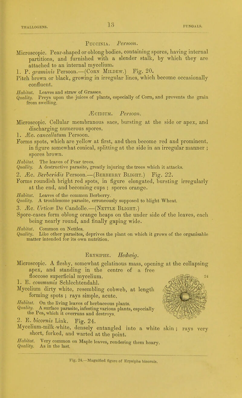 P0CCINIA. Persoon. Microscopic. Pear-shaped or oblong bodies, containing spores, having internal partitions, and furnished with a slender stalk, by which they are attached to an internal mycelium. 1. P. graminis Persoon.—(Corn Mildew.) Fig. 20. Pitch brown or black, growing in irregular lines, which become occasionally confluent. JIahitat. Leaves and straw of Grasses. Quality. Preys upon the juices of plants, especially of Corn, and prevents the grain from swelling. iEciDiuM. Persoon. Microscopic. Cellular membranous sacs, bursting at the side or apex, and discharging numerous spores. 1. Mo. cancellaium Persoon. Forms spots, which are yellow at first, and then become red and prominent, in figure somewhat conical, splitting at the side in an irregular maimer ; spores brown. Hcibitat. The leaves of Pear trees. Qtialiiy. A destructive parasite, greatly injuring the trees which it attacks. 2. ^c. Berheridis Persoon.—(Berberry Blight.) Fig. 22. Forms roundish bright red spots, in figure elongated, bursting irregularly at the end, and becoming cups ; spores orange. Habitat. Leaves of the common Berberry. Quality. A troublesome parasite, erroneously supposed to blight Wheat. 3. Mc. Urticce De Candolle.—(Nettle Blight.) Spore-cases form oblong orange heaps on the under side of the leaves, each being nearly round, and finally gaping wide. JIahitat. Common on Nettles. Quality. Like other parasites, deprives the plant on which it grows of the organisable matter intended for its own nutrition. Ertsiphe. Hedwig. Microscopic. A fleshy, somewhat gelatinous mass, opening at the collapsing apex, and standing in the centre of a free floccose superficial mycelium. 1. E. communis Schlechtendahl. Mycelium dirty white, resembling cobweb, at length forming spots ; rays simple, acute. Habitat. On the living leaves of herbaceous plants. Quality. A surface parasite, infesting various plants, especially the Pea, which it oveiTuns and destroys. 2. E. hicornis Link. Fig. 24. Mycelium-milk-white, densely entangled into a white skin ; rays very short, forked, and warted at the point. Habitat. Very common on Maple leaves, rendering them hoary. Quality. As in the last. Fig. 24.—Magnified figure of Erysiphe blcornis.