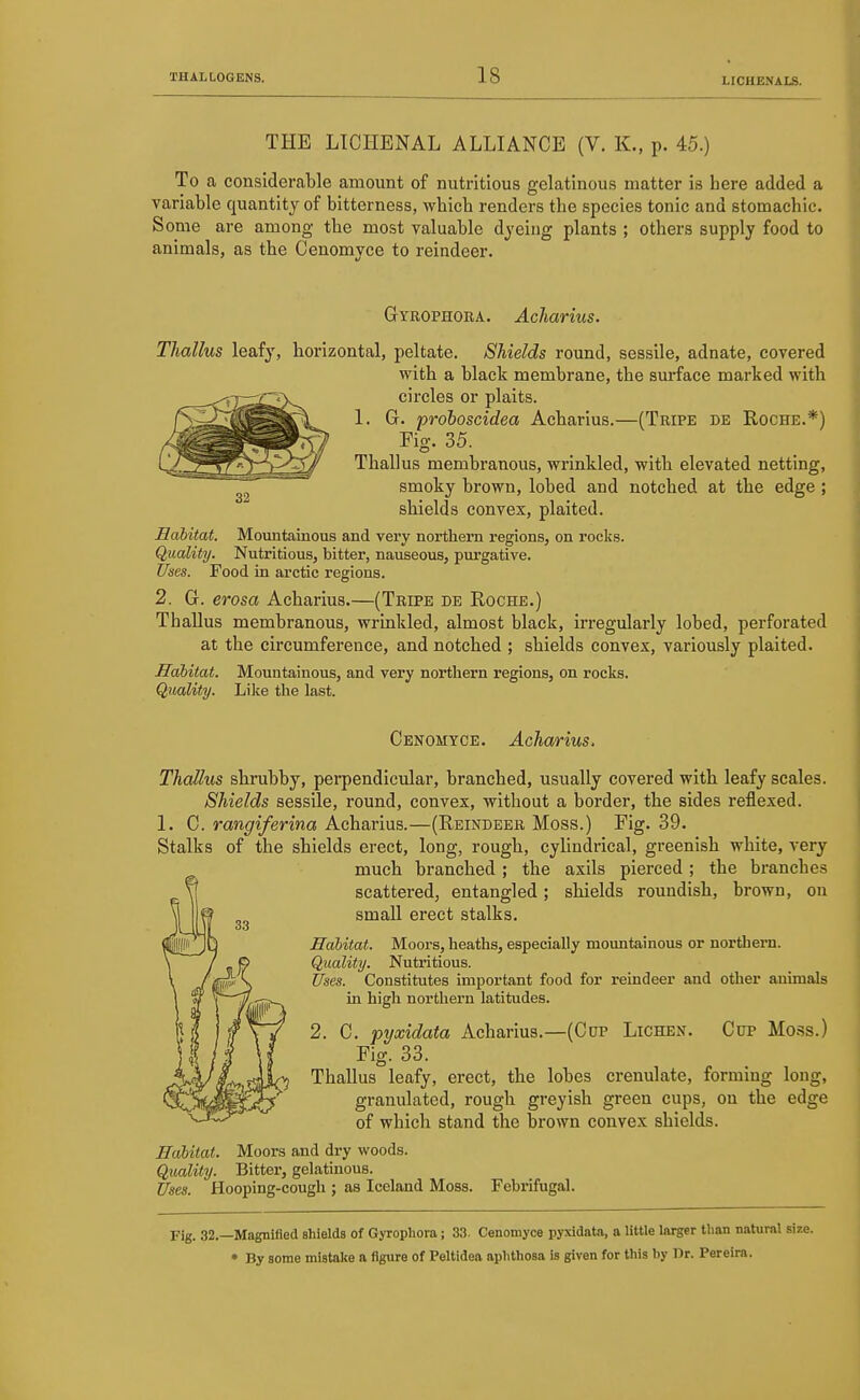 THE LTCHENAL ALLIANCE (V. K., p. 45.) To a considerable amount of nutritious gelatinous matter is here added a variable quantity of bitterness, which renders the species tonic and stomachic. Some are among the most valuable dyeing plants ; others supply food to animals, as the Cenomyce to reindeer. Gyrophora. Acharius. Thallus leafy, Horizontal, peltate. Shields round, sessile, adnate, covered with a black membrane, the surface marked with circles or plaits. 1. G. prohoscidea Acharius.—(Tripe de Roche.*) Pig. 35. Thallus membranous, wrinkled, with elevated netting, smoky brown, lobed and notched at the edge ; shields convex, plaited. Habitat. Mountainous and very northern regions, on rocks. Quality. Nutritious, bitter, nauseous, purgative. Uses. Food in arctic regions. 2. G. erosa Acharius.—(Tripe de Roche.) Thallus membranous, wrinkled, almost black, irregularly lobed, perforated at the circumference, and notched ; shields convex, variously plaited. Habitat. Mountainous, and very northern regions, on rocks. Quality. Like the last. Cenomyce. Acharius. Thallus shrubby, perpendicular, branched, usually covered with leafy scales. Shields sessile, round, convex, without a border, the sides reflexed. 1. C. rangiferina Acharius.—(Reindeer Moss.) Fig. 39. Stalks of the shields erect, long, rough, cylindrical, greenish white, very much branched; the axils pierced ; the branches scattered, entangled; shields roundish, brown, on small erect stalks. Habitat. Moors, heaths, especially mountainous or northern. Quality. Nutritious. Uses. Constitutes important food for reindeer and otlier animals in high northern latitudes. 2. C. pyxidata Acharius.—(Cup Lichen. Cop Moss.) Fig. 33. Thallus leafy, erect, the lobes crenulate, forming long, granulated, rough greyish green cups, on the edge of which stand the brown convex shields. Habitat. Moors and dry woods. Quality. Bitter, gelatinous. Uses. Hooping-cough ; as Iceland Moss. Febrifugal. Fig. 32.—Magnified shields of Gyrophora; 33. Cenomyce pyxidata, a little larger than natural size. • By some mistake a figure of Peltidea aphthosa is given for this by Dr. Pereira.