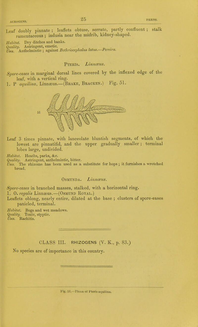 Leaf doubly pinnate ; leaflets obtuse, serrate, partly confluent ; stalk ramentaceous ; indusia near the midrib, kidney-shaped. Habitat. Dry ditches aud banks. Qiiality. Astringent, emetic, , , , „ . Uses. Anthelmintic ; against BotknoceplialMS latus.—Ferara. Pteris. Linnceus. Sj)ore-cases in marginal dorsal lines covered by the inflexod edge of the leaf, with a vertical ring. 1. P aquilina, Linnaeus.—(Brake, Bracken.) Fig. 51. 51 Leaf 3 times pinnate, with lanceolate bluntish segments, of which the lowest are pinnatifid, and the upper gradually smaller; terminal lobes large, undivided. Habitat. Heaths, parks, &c. Quality. Astringent, anthelmintic, bitter. Uses. The rhizome has been used as a substitute for hops ; it furnishes a wretched bread. OsMUNDA. LirMceus. Spore-cases in branched masses, stalked, with a horizontal ring. 1. 0. reya& LinuEeus.—(Osmund Royal.) Leaflets oblong, nearly entire, dilated at the base ; clusters of spore-eases panicled, terminal. Habitat. Bogs and wet meadows. Quality. Tonic, styptic. Ifses. Rachitis. CLASS m. RHIZOGENS (V. K., p. 83.) No species are of importance in this country. Fig. 61.—Piiiua of I'terls nquUina