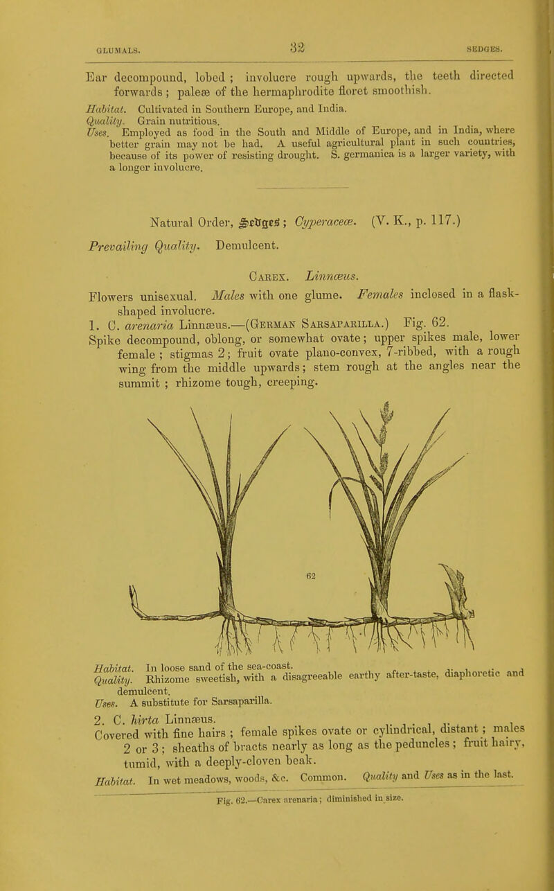 Ear decompound, lobed ; involucre rough upwards, the teeth dn-ected forwards ; palese of the hermaphrodite floret smoothish. Habitat. Cultivated in Southern Europe, and India. Quality. Grain nutritious. Uses. Employed as food in the South and Middle of Europe, and in India, where better grain may not be had. A useful agricultural plant in such countries, because of its power of resisting drought. S. germanica is a larger variety, with a longer involucre. Natural Order, ^ctrgeS; Ct/peracece. (V. K., p. 117.) Prevailing Quality. Demulcent. Carex. Linnceus. Flowers unisexual. Males with one glume. Females inclosed in a flask- shaped involucre. 1. C. arenaria Linnseus.—(German Sarsaparilla.) Fig. 62. Spike decompound, oblong, or somewhat ovate; upper spikes male, lower female ; stigmas 2; fruit ovate plano-convex, 7-ribbed, with a rough wing from the middle upwards; stem rough at the angles near the summit ; rhizome tough, creeping. Habitat. In loose sand of the sea-coast. n . . i,«,.of;„ or,^ Quality. Rhizome sweetish, with a disagreeable earthy after-taste, diaphoretic and demulcent. Uses. A substitute for Sarsaparilla. 2. C. Urta Linnseus. ,. , . , j- ^ x i Covered with fine hairs ; female spikes ovate or cylindrical, distant; males 2 or 3 ; sheaths of bracts nearly as long as the peduncles ; fi-uit hairy, tumid, with a deeply-cloven beak. Habitat. In wet meadows, woods, &c. Common. Qioality and Uses as in the last. Fig. 62.—Cnrex nrenaria; diminislied in size.