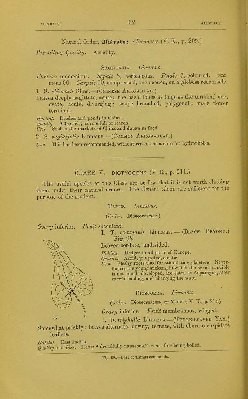 Natural Order, Sllts'maUS; Alismacece (V. K., p. 209.) Prevailing Quality. Acridity. Sagittaria. Linnceus. Flowers monoecious. Sepals 3, herbaceous. Petals 3, coloured. Sta- mens 00. Carpels 00, compressed, one-seeded, on a globose receptacle. 1. S. cJiinensis Sims.—(Chinese Arrowhead.) Leaves deeply sagittate, acute; the basal lobes as long as the terminal one, ovate, acute, diverging; scape branched, polygonal; male flower terminal. Halitat. Ditches and ponds in China. Quality. Subacrid ; corms full of stai-ch. Um. Sold in the markets of China and Japan as food. 2. S. sagittifolia Linnaeus.—(Common Arrow-head.) Uses. This has been recommended, without reason, as a cure for hydrophobia. CLASS V. DICTYOGENS (V. K., p. 211.) The useful species of this Class are so few that it is not worth classing them under their natural orders. The Genera alone are sufficient for the purpose of the student. Tamds. Linnaeus. (Black Bryony.) {Order. Dioscoreaceae.) Ovary inferior. Fruit succulent. 1, T. communis Linnaeus. Fig. 98. Leaves cordate, undivided. Habitat. Hedges in all parts of Europe. Quality. Acrid, purgative, emetic. Uses. Fleshy roots used for stimulating plaisters. Never- theless the yovmg suckers, in which the acrid principle is not much developed, are eaten as Aspai-agus, after careful boiling, and changing the water. Dioscorea. Linnceus. {Order. Dioscoreacese, or Yams ; V. K., p. 214.) Ovary inferior. Fruit membranous, winged. 1. D. triphylla Linnaeus.—(Three-leaved Yam.) Somewhat prickly ; leaves alternate, downy, ternate, with obovate cuspidate leaflets. Habitat. East Indies. . . i -i j Quality and Uses. Roots « dreadfully nauseous, even after bemg boiled. Fig. 98.—Leaf of Tamus communis.