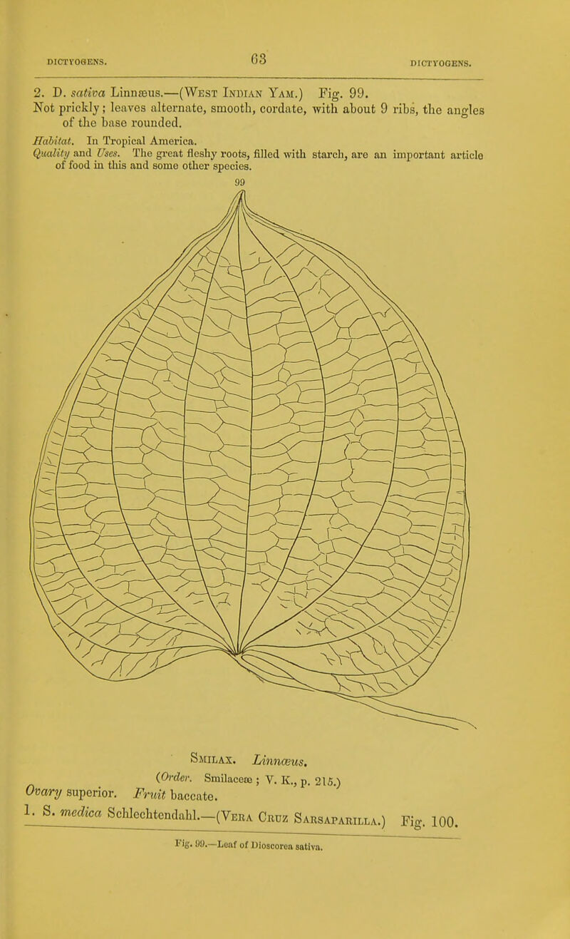 2. D. sativa Linnjeiis.—(West Indian Yam.) Fig. 99. Not prickl)'; leaves alternate, smooth, cordate, with about 9 ribs, the angles of the base rounded. Habitat. In Tropical America. Quality and Uses. The great fleshy roots, filled with starch, are an important article of food in this and some other species. 99 Smilax. LinncBus. {Order. Smilacese ; V. K., p. 215.) Ouary superior, i^nw^ baccate. 1. S. medica Schlechtendahl.-(VERA Cruz Sarsaparilla.) Fig. 100. Fig. 09.—Leaf of Dioscorea sativa.
