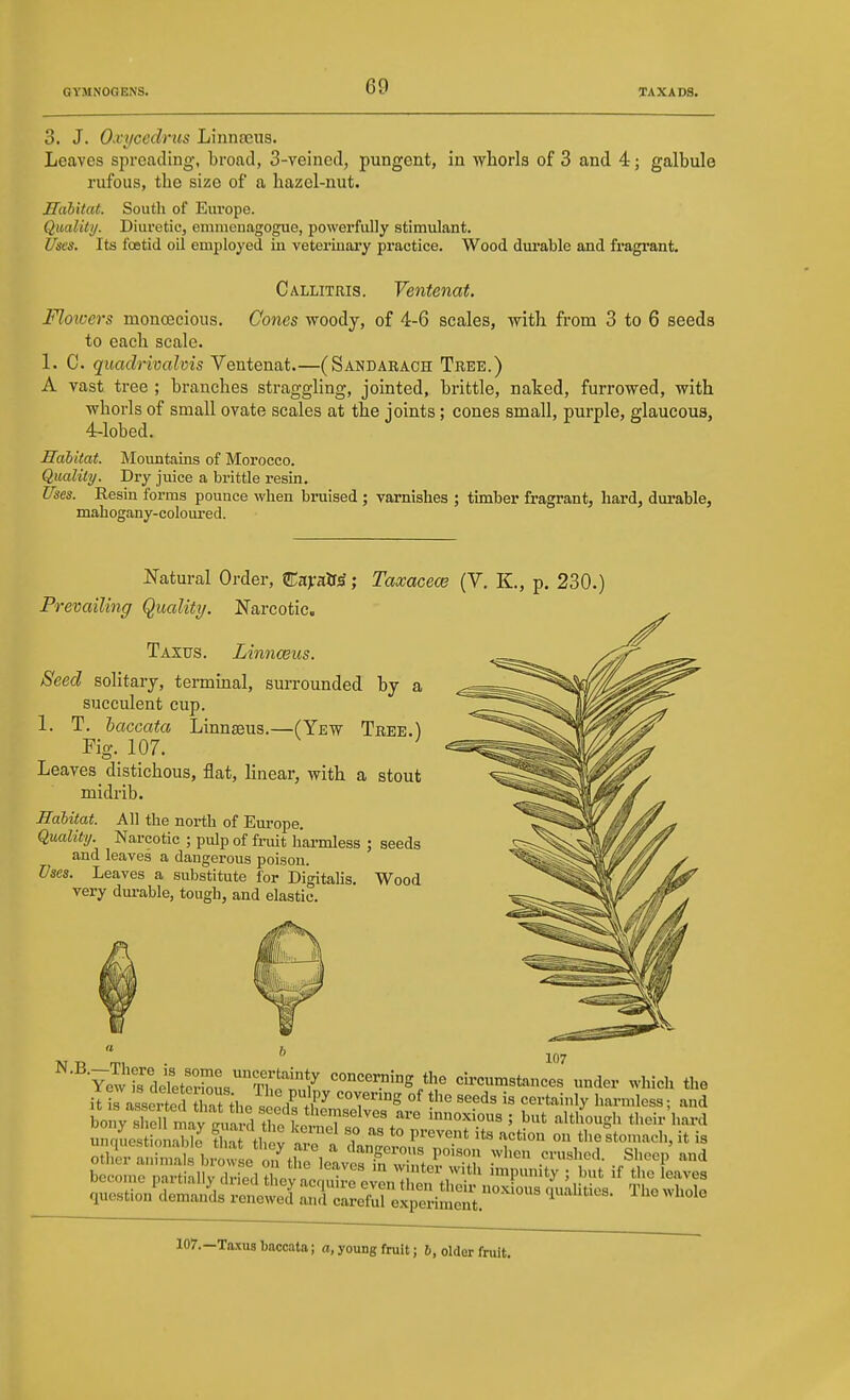 3. J. Oxycedrus Linnaeus. Leaves spreading, broad, 3-veined, pungent, in whorls of 3 and 4; galbule rufous, the size of a hazel-nut. Habitat. South of Eiu'ope. Qualitij. Diuretic, emnionagogue, powerfully stimulant. Uses. Its fcBtid oil employed in veterinary practice. Wood durable and fragrant. Callitris. Ventenat. Flowers monoecious. Cones woody, of 4-6 scales, with from 3 to 6 seeds to each scale. 1. C. quadrioalvis Ventenat.—(Sandaraoh Tree.) A vast tree ; branches straggling, jointed, brittle, naked, furrowed, with whorls of small ovate scales at the joints; cones small, purple, glaucous, 4-lobed. Habitat. Mountains of Morocco. Quality. Dry juice a brittle resin. Uses. Resin forms pounce when bruised ; varnishes ; timber fragrant, hard, durable, mahogany-coloured. Natural Order, Cavalry; Taxacece (Y. K., p. 230.) Prevailing Qucdity. Narcotic. Tazus. Linnaeus. Seed solitary, terminal, surrounded by a succulent cup. 1. T. haccata Linnaeus.—(Yew Tree.) Fig. 107. Leaves distichous, flat, hnear, with a stout midrib. Habitat. All the north of Em-ope. Quality. Narcotic ; pulp of fmit harmless ; seeds and leaves a dangerous poison. Uses. Leaves a substitute for Di'gitahs. Wood very dm-able, tough, and elastic. 107 Yew is deleters C l^ '=°°'=^™''^g/'^^ cir-cumstances under which the it I asserted iT^he si^ ^^^^^ ''^ ^^'^^'b' harmless; and bony shell i innoxious ; but although their hard question demands renewed and careful experiment. Ihe whole 107.—Taxus baccata; a, young fruit; &, older fruit.