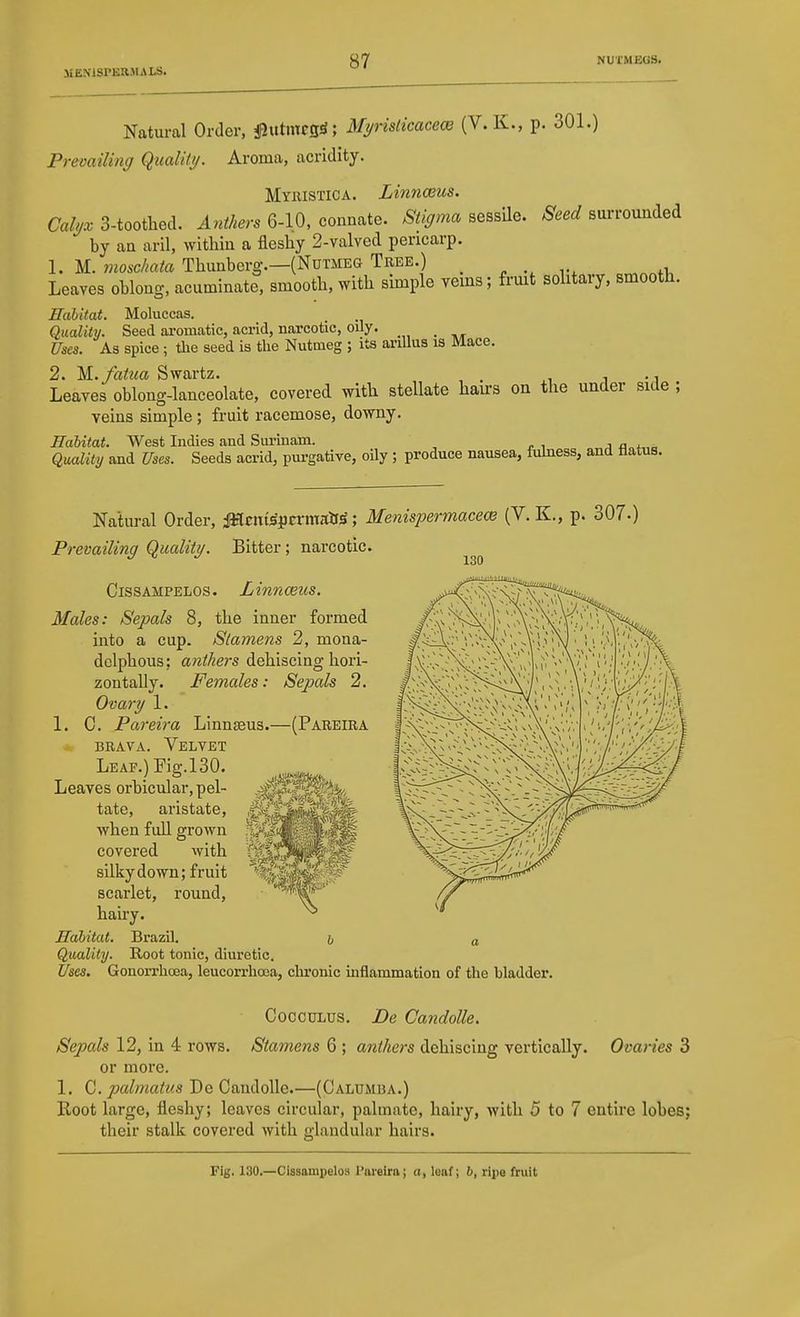 Natural Order, jautmrgrf; Myrislicacea} (V.K., p. 301.) Preoailing Qualitt/. Aroma, acridity. Myiustica. Linnceus. Cal</x 3-tootlied. Anthers 6-10, connate. Stigma sessUe. Seed surrounded by an aril, within a fleshy 2-valved pericarp. 1. M. moschata Thunbcrg.—(Nutmeg Tree.) _ Leaves oblong, acuminate, smooth, with simple vems; frmt solitary, smooth. Eahitat. Moluccas. Quality. Seed ai-omatic, acrid, narcotic, oily. _ Uses. As spice; tlie seed is the Nutmeg ; its ariUus is Mace. 2. M./aifi^a Swartz. i -i Leaves oblong-lanceolate, covered with stellate haurs on the under side ; veins simple; fruit racemose, downy. HaUtat. West Indies and Surinam. Q«aZii2/ and Uses. Seeds acrid, pui-gative, oily ; produce nausea, fulness, and flatus. Natural Order, jailciit^jcrmalr^; Menispermacece (V. K., p. 307.) Prevailing Qualitg. Bitter; narcotic. CissAMPELOS. Linnaeus. Males: Sepals 8, the inner formed into a cup. Stamens 2, mona- dclphous; anthers dehiscing hori- zontally. Females: Sepals 2. Ovary 1. 1. 0. Pareira Linnaeus.—(Pareira BRAVA. Velvet LEAF._)Fig.l30. , Leaves orbicular, pel- tate, aristate, iiM.OB>! when full grown covered with silky down; fruit scarlet, round, hairy. Habitat. Brazil. i a Quality. Root tonic, diuretic. Uses. Gonorrhoea, leucorrhooa, chronic inflammation of the bladder. CoccuLUs. De Candolle. Sepals 12, in 4 rows. Stamens 6 ; anthers dehiscing vertically. Ovaries 3 or more. 1. C. palmatv.s De Candolle.—(Calumba.) Root large, fleshy; leaves circular, palmate, hairy, with 5 to 7 entire lobes; their stalk covered with glandular hairs. Fig. 130.—Cissampelo.s Pareira; a, leaf; 6, ripe fruit