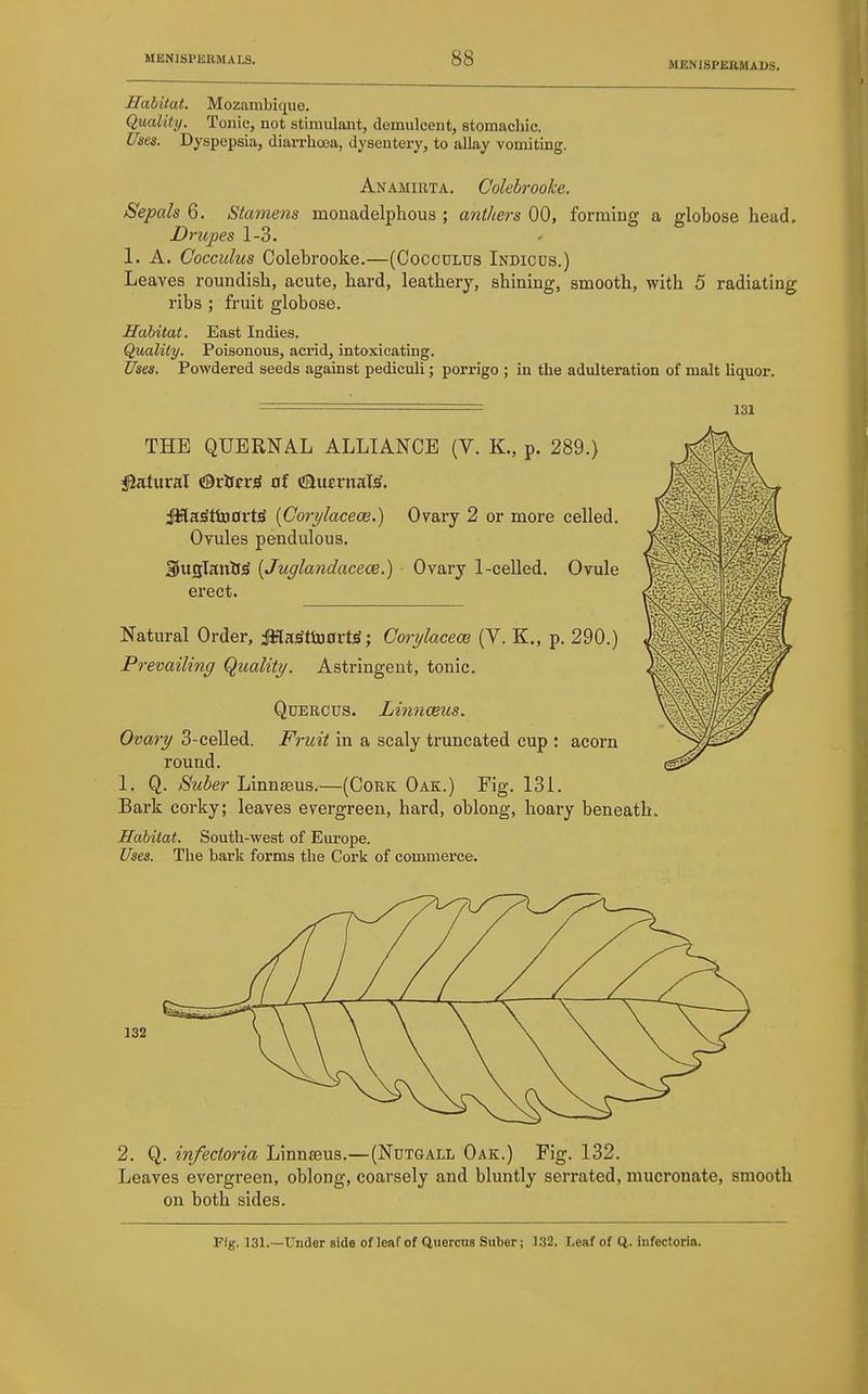 HEMSPEKMADS. Habitat. Mozambique. Quality. Tonic, not stimulant, demulcent, stomachic. Uses. Dyspepsia, diarx-hcea, dysentery, to allay vomiting. Anamiuta. Colebrooke. Sepals 6. Stamens monadelphous ; anthers 00, forming a globose head. Drupes 1-3. 1. A. Cocculus Colebrooke.—(CoccuLUS Indicus.) Leaves roundish, acute, hard, leathery, shining, smooth, with 5 radiating ribs ; fruit globose. Habitat. East Indies. Quality. Poisonous, acrid, intoxicating. Uses. Powdered seeds against pediculi; porrigo ; in the adulteration of malt liquor. ' 131 THE QUBRNAL ALLIANCE (V. K., p. 289.) iSatural OrlrpriS 0f ^aucrnalj^. iKlaStti30rtS [Corylaceoe.) Ovary 2 or more celled. Ovules pendulous. SufllaulJ^ [Juglandacece.) Ovary 1-celled. Ovule erect. Natural Order, M^itiSiOxi^; Corylaceoe (V. K., p. 290.) Prevailing Quality. Astringent, tonic. QuERCUs. Limiceus. Ovary 3-celled. F^-uit in a scaly truncated cup : acorn round. 1. Q. Suber Linnaeus.—(Cork Oak.) Fig. 131. Bark corky; leaves evergreen, hard, oblong, hoary beneath. Habitat. South-west of Europe. Uses. The bark forms the Cork of commerce. 132 2. Q. infedoria Linnaeus.—(Nutgall Oak.) Fig. 132. Leaves evergreen, oblong, coai'sely and bluntly serrated, mucronate, smooth on both sides. Fig. 131.—Under side of leaf of Quercus Suber; 132. Leaf of Q. infectorin.
