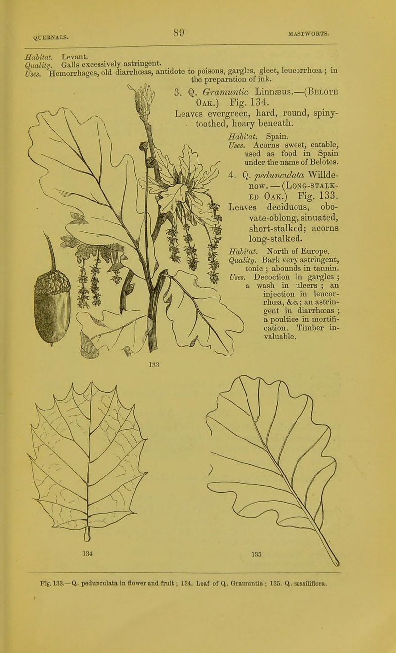 Habitat, Levant. Quality. Galls excessively astriugent. _ , , . , , . Uses. Hemorrhages, old diai-rhoeas, antidote to poisons, gargles, gleet, leucorrhoaa; in the preparation of ink. Q. Gramuntia Linnaeus.—(Belote Oak.) Fig. 134. Leaves evergreen, hard, round, spiny- . toothed, hoary beneath. Habitat. Spain. Uses. Acorns sweet, eatable, used as food in Spain ^ under the name of Belotea. '' ' ' Q. pedunculata Willde- now. — (Long-stalk- ed Oak.) Fig. 133. Leaves deciduous, obo- vate-oblong, sinuated, short-stalked; acorns long-stalked. Habitat. North of Eui'ope. Quality. Bark very astringent, tonic ; abounds in tannin. Uses. Decoction in gargles ; a wash in ulcers ; an injection in leucor- rhcea, &c.; an astrin- gent in diarrhoeas ; a poultice in mortifi- cation. Timber in- valuable. .134 135 Fig. 133.—Q. pedunculata in flower and fruit; 134. Leaf of CJ,. Gramuntia; 1!?5. Q,. sessiliflorn.