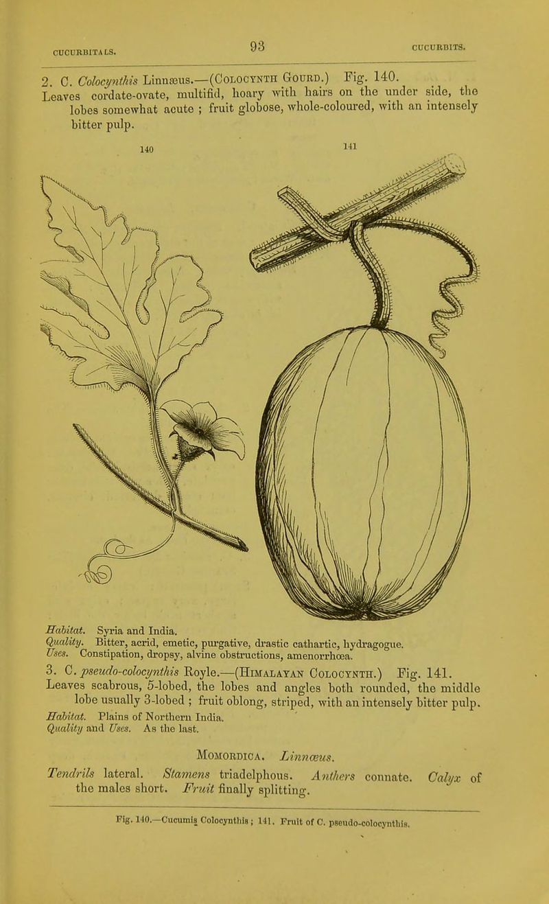 2. C. Colocynthis Linnajus.—(Oolocynth Gouud.) Fig. 140. Leaves cordate-ovate, multifiil, lioary with hairs on the under side, the lobes somewhat acute ; fruit globose, whole-coloured, with an intensely bitter pulp. Mabitat. Syria and India. Quality. Bitter, acrid, emetic, pxu-gative, di-astic cathartic, hydragogue. Uses. Constipation, dropsy, alvine obstructions, amenorrhcea. 3. G. psetido-colocpitkis Royle.—(Himalayan Colocynth.) Fig. 141. Leaves scabrous, 5-lobed, the lobes and angles both rounded, the middle lobe usually 3-lobed ; fruit oblong, striped, with an intensely bitter pulp. Habitat. Plains of Northern India. Quality and Uses. As the last. MoMORDiCA. Lin7ioeus. Tendrils lateral. Stamens triadelphous. Anthers connate. Calm of the males short. Fruit finally splitting. Fig. 140.—Cucumis Colocyntliis; 141. Fruit of C. pseudo-colocyiitliis.