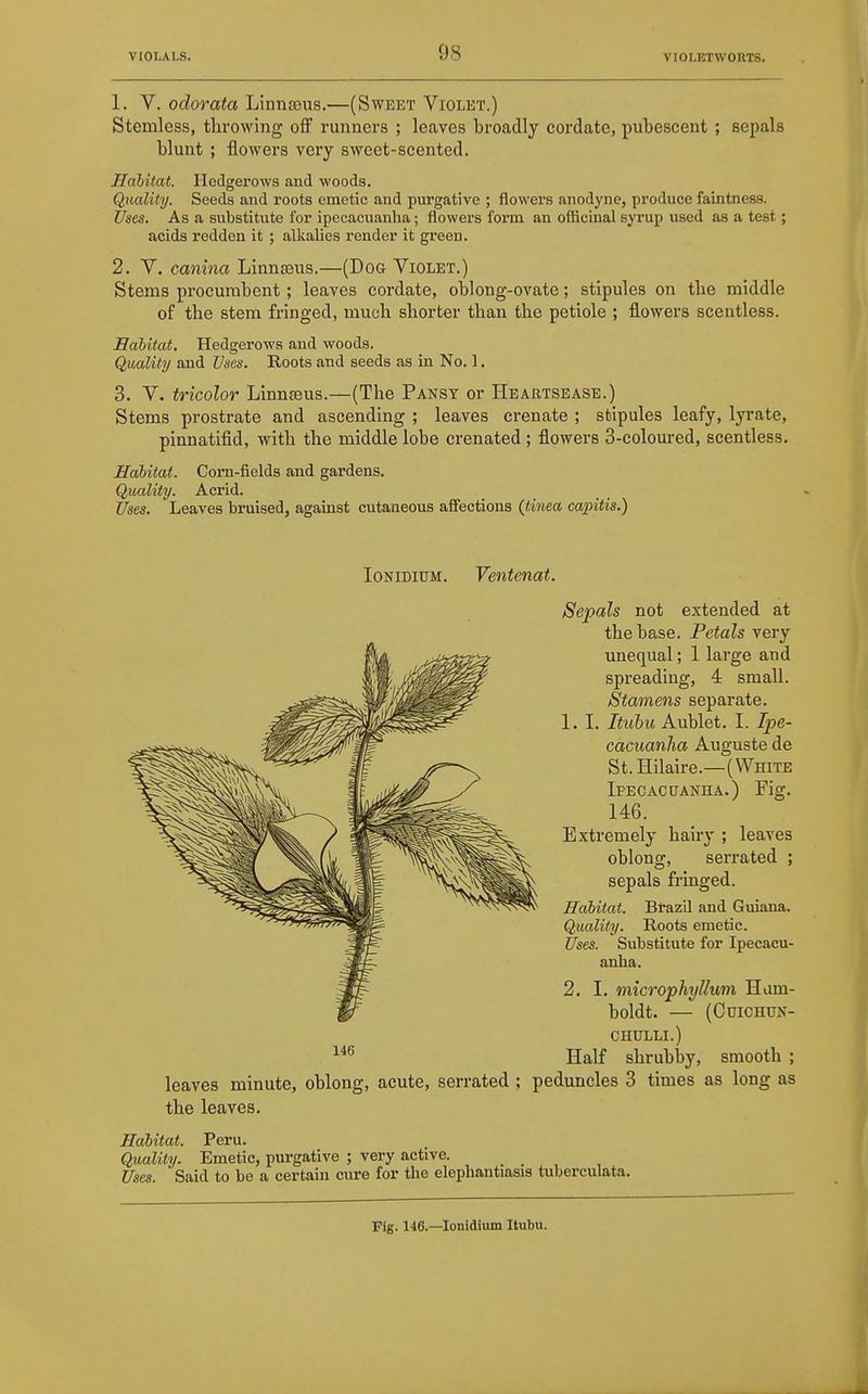 1. V. oclorata Linnseus.—(Sweet Violet.) Stemless, tlirowing off runners ; leaves broadly cordate, pubescent ; sepals blunt ; flowers very sweet-scented. Habitat. Hedgerows aud woods. Quality. Seeds and roots emetic and purgative ; flowers anodyne, produce faintness. Uses. As a substitute for ipecacuanha; flowers form an officinal syrup used as a test; acids redden it ; alkalies render it green. 2. V. canina Linnteus.—(Dog Violet.) Stems procumbent; leaves cordate, oblong-ovate; stipules on tlie middle of the stem fringed, much shorter than the petiole ; flowers scentless. Habitat, Hedgerows and woods. Quality and Uses. Roots and seeds as in No. 1. 3. V. tricolor Linnaeus.—(The Pansy or Heartsease.) Stems prostrate and ascending ; leaves crenate ; stipules leafy, lyrate, pinnatifid, with the middle lobe crenated ; flowers 3-coloured, scentless. Habitat. Corn-fields and gardens. Quality. Acrid. Uses. Leaves bruised, against cutaneous affections (tinea capitis.) loNiDiuM. Ventenat. Sepals not extended at the base. Petals very unequal; 1 large and spreading, 4 small. Stamens separate. 1. I. Itubu Aublet. I. Ipe- cacuanha Auguste de St. Hilaire.—(White Ipecacuanha.) Fig. 146. Extremely hairy ; leaves oblong, serrated ; sepals fringed. Habitat. Brazil and Guiana. Quality. Roots emetic. Uses. Substitute for Ipecacu- anha. 2. I. micropliyllum Hum- boldt. — (Cuichun- CH0LLI.) Half shrubby, smooth ; leaves minute, oblong, acute, serrated ; peduncles 3 times as long as the leaves. Habitat. Peru. Quality. Emetic, purgative ; very active. Uses. Said to be a certain cure for the elephantiasis tuberculata. Fig. 146.—lonidium Itubu.