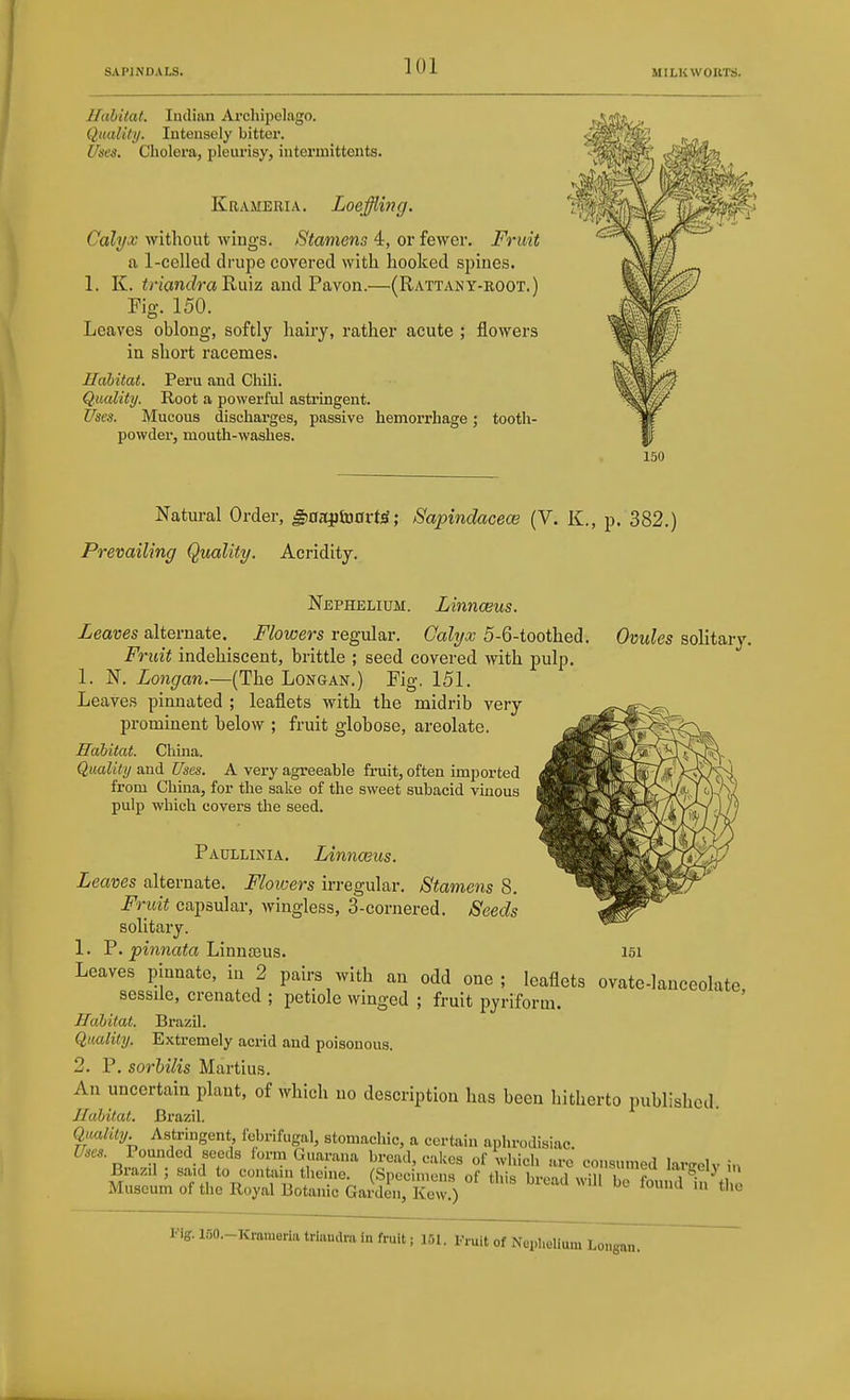 Huhitat. Indian Archipelago. Quality. Intensely bitter. Uses. Cholera, pleurisy, iuterinittents. Krameria. Loeffling. Calyx without wings. Stamens 4, or fewer. Fruit a 1-celled drupe covered with hooked spines. 1. K. triandra^mz and Pavon.—(Rattany-root.) Fig. 150. Leaves oblong, softly hairy, rather acute; flowers in short racemes. Habitat. Peru and Chili. Quality. Root a powerful astringent. Uses. Mucous discharges, passive hemorrhage; tooth- powder, mouth-washes. 150 Natm-al Order, ^aajituort^; Sapindacew (V. K., p. 382.) Prevailing Quality. Acridity. Nephelium. LinnoBus. Zea«es alternate, i^/owers regular. Calyx 5-%-iooih.Qdi. Fruit indehiscent, brittle ; seed covered with pulp. 1. N. Longan.—(The Longan.) Fig. 151. Leaves pinnated ; leaflets with the midrib very prominent below ; fruit globose, areolate. JTabitat. China. Quality and Uses. A very agreeable fruit, often imported from China, for the sake of the sweet subacid vinous pulp which covers the seed. Ovules solitary. Paullinia. Linnceus. Leaves alternate. Flowers irregular. Stamens 8. Fruit capsular, wingless, 3-cornered. Seeds solitary. 1. P. jpzmiato Linnseus. i5i Leaves pinnate, in 2 pairs with an odd one ; leaflets ovate-lanceolate sessile, crenated ; petiole winged ; fruit pyriform. Hahitat. Brazil. Quality. Extremely acrid and poisonous. 2. P. sorhilis Martins. An uncertain plant, of which no description has been hitherto published. Uahitat. Brazil. Quality. Astringent, febrifugal, stomachic, a certain aphrodisiac. . Pounded seeds form Guaraua bread, cakes of wiiich are consumed larirelv in Brazil ; said to contain theine. (Specimens of this bivn.l wil i,!^ f '^'gely m Museum of the Royal Botanic GardL, KewO ^^^'^'^ ^^>» fo'! i the Uses. 150.-Krameria trtandra In fruit, 151. rruit of Nephelium Longan.