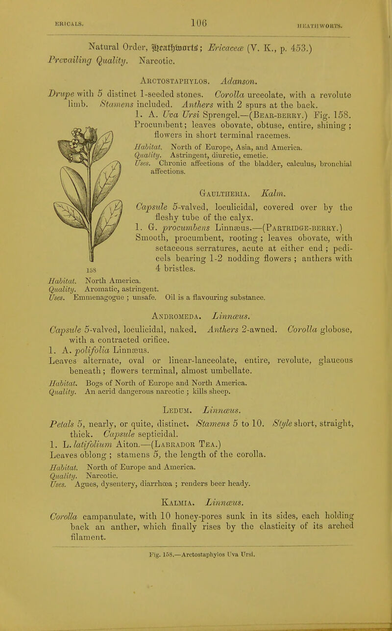 Natural Order, ^catt)i3avtS; Ericacece (V. K., p. 453.) Prevailing Quality. Narcotic. Arctostaphylos. Adanson. Drupe with 5 distinct 1-seeded stones. Corolla urceolate, with a revolute limb. Stamens included. Anthers with 2 spurs at the back. 1. A. Uva TJrsi Sprengel.—(Bear-berry.) Fig. 158, Procumbent; leaves obovate, obtuse, entire, shining; flowers iu short terminal racemes. Habitat. North of Europe, Asia, and America. Quality. Astringent, diuretic, emetic. Uses. Chronic affections of the bladder, calculus, bronchial affections. Gaultheria. Kalm. Capsule 5-valved, loculicidal, covered over by the fleshy tube of the calyx. 1. G. procumbens Linnseus.—(Partridge-berry.) Smootli, procumbent, rooting ; leaves obovate, with setaceous serratures, acute at either end ; pedi- cels bearing 1-2 noddino- flowers ; anthers with 158 4 bristles. Habitat. North America. Quality. Aromatic, astringent. Uses. Emnienagogue ; unsafe. Oil is a flavouring substance. Andromeda. Linnceus. Capsule 5-valved, loculicidal, naked. Anthers 2-awned. Corolla globose, with a contracted orifice. 1. A. polifolia lAansiw?.. Leaves alternate, oval or linear-lanceolate, entire, revolute, glaucous beneath; flowers terminal, almost umbellate. Habitat. Bogs of North of Europe and North America. Quality. An acrid dangerous narcotic ; kills sheen. Ledum. LinncBus. Petals 5, nearly, or quite, distinct. Stamens 5 to 10. /S'Ay/e short, straight, thick. Capsule septicidal. 1. h. latifolium Alton.—(Labrador Tea.) Leaves oblong ; stamens 5, the length of the corolla. Habitat. North of Europe and America. Quality. Narcotic. Uses. Agues, dysentery, diarrhoea ; renders beer heady. Kalmia. LinncEUS. Corolla campanulate, with 10 honey-pores sunk in its sides, each holding back an anther, which finally rises by the elasticity of its arched filament. l'ig. 188.—Arctostaphylos Uva Ursl.
