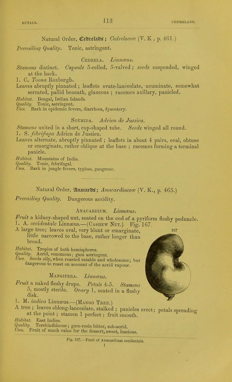 Natural Order, (IclfrcIaUsi; Cedrelacece (V. K , p. 461.) Prevailing Qualiii/. Tonic, astringent. Cedbela. Linnceus. Stamens distinct. Capsule 5-celled, 5-valved ; seeds suspended, winged at the back. 1. C. Toona Roxburgh. Leaves abruptly pinnated ; leaflets ovate-lanceolate, acuminate, somewhat serrated, pallid beneath, glaucous ; racemes axillary, panicled. Habitat. Bengal, Indian Islands. Quality. Tonic, astringent. Uses. Bark in epidemic fevers, diarrhoea, dysentery. SoTMiDA. Adrien de Jussieu. Stamens united in a short, cup-shaped tube. Seeds winged all round. 1. febrifuga Adrien de Jussieu. Leaves alternate, abruptly pinnated ; leaflets in about 4 pairs, oval, obtuse or emarginate, rather oblique at the base ; racemes forming a terminal panicle. Habitat. Mountains of India. Quality. Tonic, febrifugal. Uses. Bark in jungle fevers, typhus, gangrene. Natural Order, ^nararlj^; Anacardiacece (V. K., p. 465.) Prevailing Qualiti/. Dangerous acridity. Anacardium. Linnceus, Fruit a kidney-shaped nut, seated on the end of a pyriform fleshy peduncle. 1. A. occidentale Linnseus.—(Cashew Not.) Fig. 167. A large tree; leaves oval, very blunt or emarginate, 167 little narrowed to the base, rather longer than broad. Habitat. Tropics of both hemispheres. Quality. Acrid, venomous; gum astringent. Uses. Seeds oily, when roasted eatable and wholesome; but dangerous to roast on account of the acrid vapoiu-. Mangifera. Linnoius. Fruit a naked fleshy drupe. Petals 4-5. Stamens 5, mostly sterile. Ovary 1, seated in a flesliy disk. 1. M. indica Linnseus.—(Mango Tree.) A tree ; leaves oblong-lanceolate, stalked ; panicles erect; petals spreadino- at the pomt ; stamen 1 perfect ; fruit smooth. ^ r o Habitat. East Indies. Quality. Terebinthinous ; gum-resin bitter, sub-acrid. Ii*uit of much value for the dessert, sweet, luscious. Fig. 1G7.—Fruit of Anacardium occidentale. I