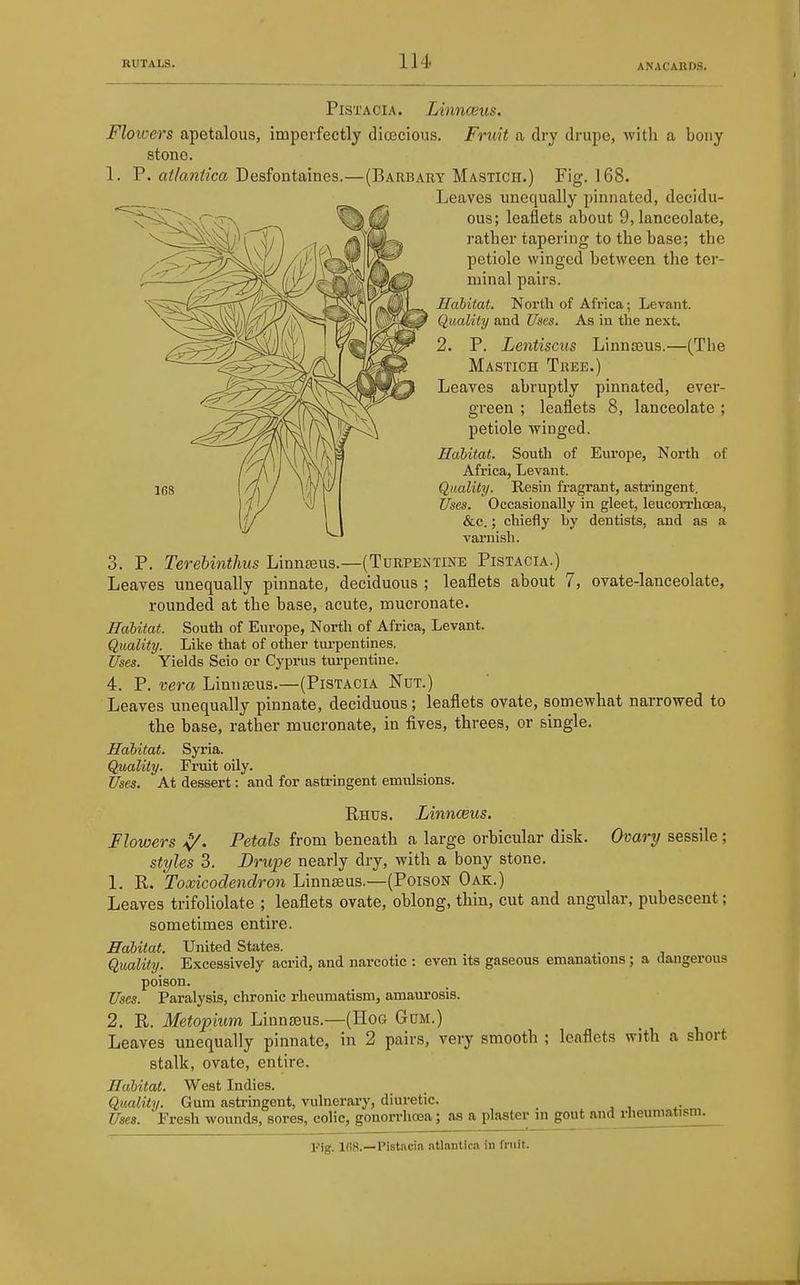 PiS'i'ACiA. Linnceus. Floivers apetalous, imperfectly dioecious. Fruit a dry drupe, with a bony stone. 1. T. at/a7itica Dasfontsdnes.—(Barbary Mastich.) Fig. 168. Leaves unequally pinnated, decidu- ous; leaflets about 9, lanceolate, rather tapering to the base; the petiole winged between the ter- minal pairs. Habitat. North of Africa; Levant. Quality and Uses. As in the next. 2. P. Lentiscus Linnoeus.—(The Mastich Tree.) Leaves abruptly pinnated, ever- green ; leaflets 8, lanceolate; petiole winged. Habitat. South of Europe, North of Africa, Levant. Quality. Resin fragrant, astringent. Uses. Occasionally in gleet, leucorrhcea, &c.; chiefly by dentists, and as a varnish. 3. P. Terehinthus LinnjEus.—(Turpeintine Pistacia.) Leaves unequally pinnate, deciduous ; leaflets about 7, ovate-lanceolate, rounded at the base, acute, mucronate. Habitat. South of Europe, North of Africa, Levant. Quality. Like that of other tarpentines. Uses. Yields Scio or Cyprus turpentine. 4. P. vera Linnseus.—(Pistacia Nut.) Leaves unequally pinnate, deciduous; leaflets ovate, somewhat narrowed to the base, rather mucronate, in fives, threes, or single. Habitat. Syria. Quality. Fruit oily. Uses. At dessert: and for astringent emulsions. Rhus. Linnceus, Flowers ^. Petals from beneath a large orbicular disk. Omry sessile; styles 3. Drupe nearly dry, with a bony stone. 1. R. Toxicodendron Linnteus.—(Poison Oak.) Leaves trifoliolate ; leaflets ovate, oblong, thin, cut and angular, pubescent; sometimes entire. Habitat. United States. Quality. Excessively acrid, and narcotic : even its gaseous emanations; a dangerous poison. Uses. Paralysis, chronic rheumatism, amaurosis. 2. R. Metopium Linnjeus.—(Hog Gum.) Leaves unequally pinnate, in 2 pairs, very smooth ; leaflets with a short stalk, ovate, entire. Habitat. West Indies. Quality. Gum astringent, vulnerai-y, diuretic. Uses. Fresh wounds, sores, colic, gonorrhoea; as a plaster in gout and rheumatism. Fig. IfiS.—Pistftcin ntlantic.i in fniit.