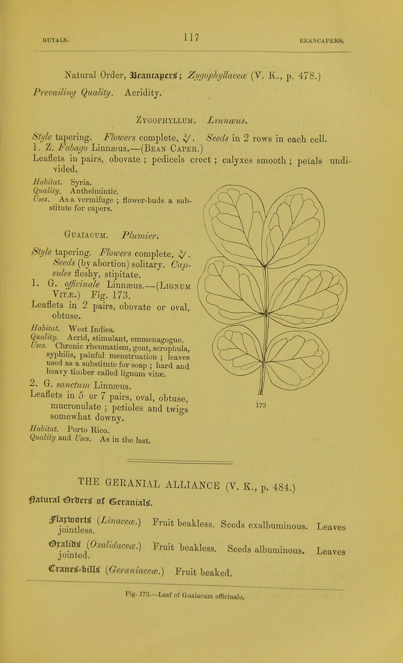 1J7 Natural Order, 3lJpflUtnjpcijS; Zyijophyllacea. (V. K.., p. 478.) Prevailing Quality. Acridity. Zygophyllum. Litmrncs. (S/ye tapering. Ffoe^m complete, 4^. 'S'eerfs in 2 rows in each cell. 1. Z. Fabago Linnajus.—(Bean Caper.) Leaflets in pairs, obovate ; pedicels erect ; calyxes smooth ; petals undi- vided. Hahitat. Syria. Qualiiy. Anthelmintic. Uses. As a vermifuge ; flower-buds a sub- stitute for capers. GuAiACUM. Plumier. /Style tapei-ing. Flowers complete, ■ Seeds (by abortion) solitary. Cap- sules fleshy, stipitate. 1. G. officinale Linnteus.—(Lignum ViTiE.) Fig. 173. Leaflets in 2 pairs, obovate or oval, obtuse. Habitat. West Indies. Quality. Acrid, stimulant, emmenagogue. Uses. Chronic rheumatism, gout, scrophula, syphilis, painful menstruation ; leaves used as a substitute for soap ; hard and heavy timber called lignum vitise. 2. G. sanctum LinnEeus. Leaflets in 5 or 7 pairs, oval, obtuse, mucronulate ; petioles and twi<Ts somewhat downy. ^ Habitat. Porto Rico. Quality and Uses. As in the last. 173 THE GBRANIAL ALLIANCE (V. K., p. 484.) ^fSl. F'-^i* beakless. Seeds exalbuminous. Leaves jSc/.^''^''''''''^'^ ^^^^ albuminous. Leaves €xmtiM\{i [GeraniacecB.) Fruit beaked. Fig. 173.—Leaf of Guaiivcum offlcinalo.