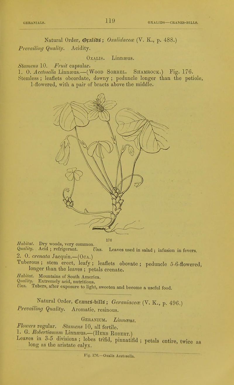 OlSRANIALS. OXALIDS—CRANKS-BILLS. Natural Order, OvaHlf^; Oxalidacece (V. K., p. 488.) Prevailing Qualit//. Acidity. OxALis. Linn£Eus. Stamens 10. Fmii capsular. 1. 0. Acetosella Limiteus.—(Wood Sorrel. Shamrock.) Fig. 176. Stemless ; leaflets obcordate, downy ; peduncle longer than the petiole, 1-flowered, with a pair of bracts above the middle. 176 Habitat. Dry woods, very common. QualitT/. Acid ; refrigerant. Uses. Leaves used in salad ; infusion in fevers. 2. 0. crenata Jacquin.—(Oca.) Tuberous; stem erect, leafy; leaflets obovate; peduncle 5-6-flowered, longer than the leaves ; petals erenate. Hahitat. Mountains of South America. Quality. Extremely acid, nutintious. Uses. Tubers, after exposure to light, sweeten and become a useful food. Natural Order, Crauf^-ijin^; Geraniacece (V. K., p. 496.) Prevailing Quality. Aromatic, resinous. Geranium. Linnmus. Flowers regular. Stamens 10, all fertile. 1. G. Robertianum Linnajus.—(IIetib Robeut.) Leaves in 3-5 divisions ; lobes trifid, pinnatifid ; petals entire, twice as long as the anstate calyx. l-'ig. 176.—Oxalig Acetosella.