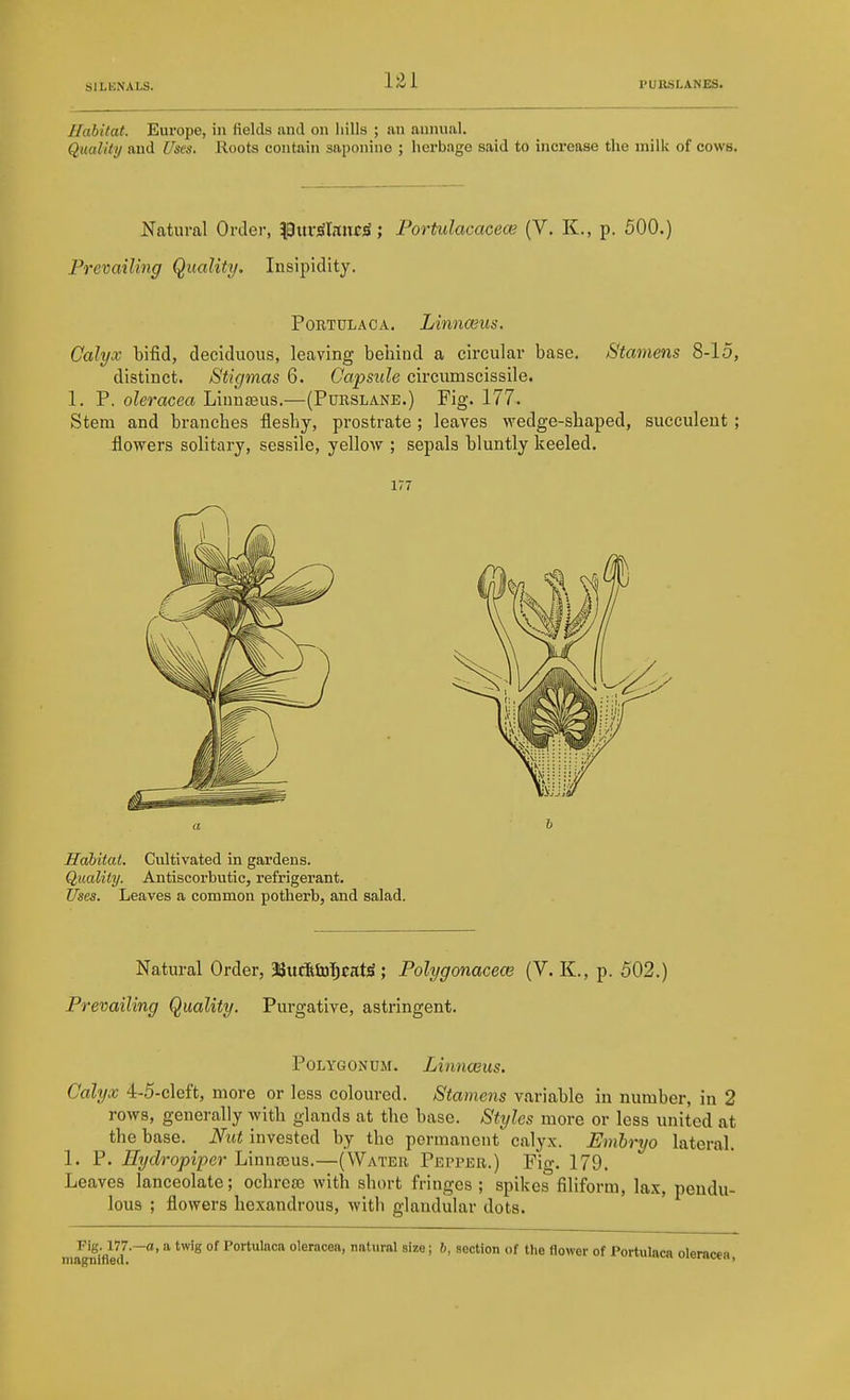 Habitat. Europe, in fields and on hills ; an annual. Quality and Uses. Roots contain saponino ; herbage said to increase the milk of cows. Natural Order, pursilancsi; Fortulacacece (V. K., p. 500.) Prevailing Quality. Insipidity. Portulaca. Linnceus. Calyx bifid, deciduous, leaving behind a circular base. Stamens 8-15, distinct. Stigmas 6. Capsule circumscissile. 1. P. oleracea Liunjeus.—(Purslane.) Fig. 177. Stem and branches fleshy, prostrate; leaves wedge-shaped, succulent ; flovrers solitary, sessile, yellow ; sepals bluntly keeled. 177 Habitat. Cultivated in gardens. Quality. Antiscorbutic, refrigerant. Uses. Leaves a common potherb, and salad. Natural Order, aSttcfetdl^catS ; Polygonacece (V. K., p. 502.) Prevailing Quality. Purgative, astringent. Polygonum. Linnasus. Calyx 4-5-cleft, more or less coloured. Stamens variable in number, in 2 rows, generally with glands at the base. Styles more or less united at the base. Nut invested by the permanent calyx. Embryo lateral. 1. P. Hydropiper Linnceus.—(Water Pepper.) Fig. 179. Leaves lanceolate; ochrca3 with short fringes ; spikes filiform, lax, pendu- lous ; flowers hexandrous, with glandular dots. Fig. 177.-a, a twig of Portulaca oleracea, natural size; 6, section of the flower of Portulaca oleracea