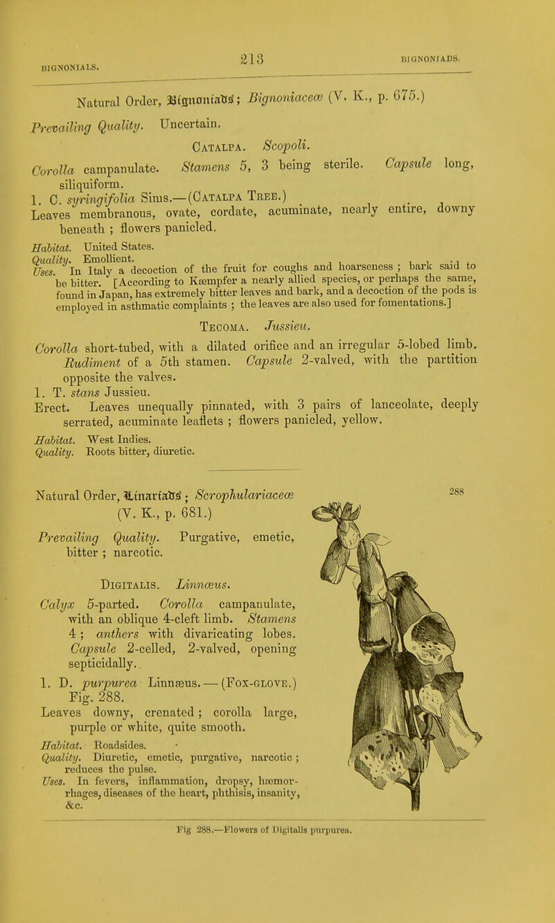 Natural Order, JJtgnoiitntf^; Bignoniacece (V. K., p. 675.) Premiling Quality. Uncertain. Catalpa. Scopoli. Corolla campanulate. Stamens 5, 3 being sterile. Capsule long, siliquiform. 1 C. sm-ingifolia Sims.—(Catalpa Tree.) _ Leaves membranous, ovate, cordate, acuminate, nearly entire, downy beneath ; flowers panicled. EaUtat. United States. Quality. Emollient. , i • w Uses In Italy a decoction of the fruit for coughs and hoarseness ; bark said to be bitter. [According to Ktempfer a nearly allied species, or perhaps the same, found in Japan, has extremely bitter leaves and bark, and a decoction of the pods is employed in asthmatic complaints ; the leaves are also used for fomentations.] Tecoma. Jussieu. Corolla short-tubed, with a dilated orifice and an irregular 5-lobed limb. Budiment of a 5th stamen. Capsule 2-valved, with the partition opposite the valves. 1. T. stans Jussieu. Erect. Leaves unequally pinnated, with 3 pairs of lanceolate, deeply serrated, acuminate leaflets ; flowers panicled, yellow. Habitat. West Indies. Qitaliiy. Roots bitter, diuretic. Natural Order, ILtnartalfS; Scrophulariacea^ (V. K., p. 681.) 288 Prevailing Quality. bitter ; narcotic. Purgative, emetic. Digitalis. Linnceus. Calyx 5-parted. Corolla campanulate, with an oblique 4-cleft limb. Stamens 4; anthers with divaricating lobes. Capsule 2-celled, 2-valved, opening septicidally.. 1. D. purpurea Linnjeus. — (Fox-glove.) Fig. 288. Leaves downy, crenatcd; corolla large, purple or white, quite smooth. Habitat. Roadsides. Quality. Diuretic, emetic, purgative, narcotic; reduces the pulse. Uses. In fevers, inflammation, dropsy, hajmor- rhages, diseases of the heart, phthisis, insanity, &c. Fig 288.—Flowers of Digitalis purpurea.