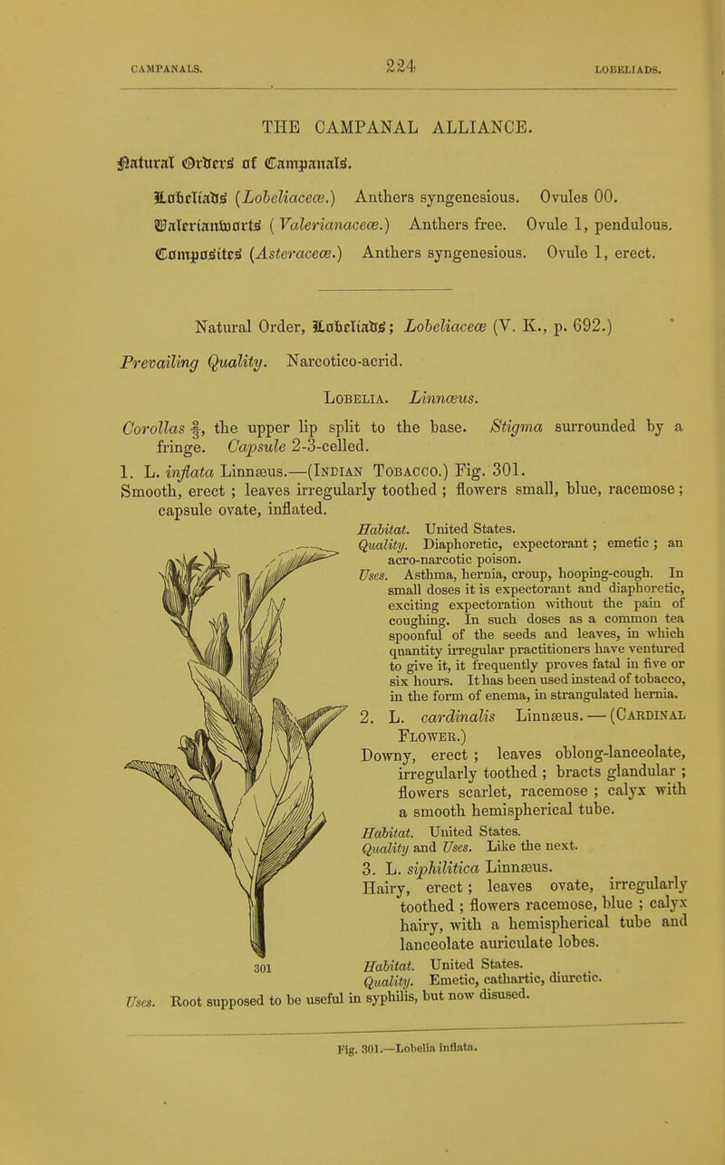 THE CAMPANAL ALLIANCE. iLoScTinilS (Loleliacece.) Anthers syngenesious. Ovules 00. SFaleriniitDOrt)S ( Valerianacece.) Antliers free. Ovule 1, pendulous. ilLam^aiitt^ {Asteracece.) Antliers syngenesious. Ovule 1, erect. Natural Order, iLnScItaXfjS; Lobeliacece (V. K., p. 692.) Prevailing Quality. Narcotico-acrid. Lobelia. Linnceus. Corollas f, tlie upper lip split to tlie base. Stigma surrounded by a fringe. Capsule 2-3-celled. 1. L. infiata Linnaeus.—(Indian Tobacco.) Fig. 301. Smooth, erect ; leaves irregularly toothed ; flowers small, blue, racemose; capsule ovate, inflated. Habitat. United States. Quality. Diaphoretic, expectorant; emetic ; an acro-narcotic poison. Uses. Asthma, hernia, croup, hooping-cough. In small doses it is expectorant and diaphoretic, exciting expectoration without the pain of coughing. In such doses as a common tea spoonful of the seeds and leaves, in which quantity u'regular practitioners have ventured to give it, it frequently proves fatal in five or six hours. It has been used instead of tobacco, in the form of enema, in strangulated hernia. 2. L. cardinalis Linnaeus. — (Cardinal Flower.) Downy, erect ; leaves oblong-lanceolate, irregularly toothed ; bracts glandular ; flowers scarlet, racemose ; calyx with a smooth hemispherical tube. Habitat. United States. Quality and Uses. Like the next. 3. L. siphilitica Linnaeus. Hairy, erect; leaves ovate, irregularly toothed ; flowers racemose, blue ; calyx hairy, with a hemispherical tube and lanceolate auriculate lobes. Habitat. United States. Quality. Emetic, cathartic, diuretic. Uses. Root supposed to be useful in syphU'is, but now disused. Fig. 301.—Lobelin Inflata.