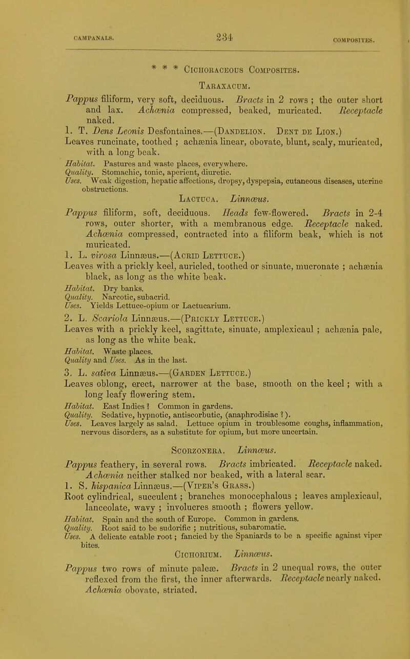 COMPOSITES. * * * cichoraceous composites. Taraxacum. Pappus filiform, very soft, deciduous. Bracts in 2 rows ; the outer short and lax. Aclmnia compressed, heaked, muricated. Receptacle naked. 1. T. Dens Leonis Desfontaines.—(Dandelion. Dent de Lion.) Leaves runcinate, toothed ; achsenia linear, obovate, blunt, scaly, muricated, with a long beak. Habitat. Pastures and waste places, everywhere. Quality. Stomachic, tonic, aperient, diuretic. Uses. Weak digestion, hepatic affections, dropsj', dyspepsia, cutaneous diseases, uterine obstructions. Lactuca. Linnceus. Pappus filiform, soft, deciduous. Heads few-flowered. Bracts in 2-4 rows, outer shorter, with a membranous edge. Receptacle naked. Achwnia compressed, contracted into a filiform beak, which is not muricated. 1. L. virosa Linnaeus.—(Acrid Lettuce.) Leaves with a prickly keel, auricled, toothed or sinuate, mucronate ; achsenia black, as long as the white beak. Habitat. Dry banks. Quality. Narcotic, subacrid. Uses. Yields Lettuce-opium or Lactucarium. 2. L. Scariola Linnaeus.—(Prickly Lettuce.) Leaves with a prickly keel, sagittate, sinuate, amplexicaul ; achtenia pale, as long as the white beak. Habitat. Waste places. Quality and Uses. As m the last. 3. L. sativa Linnaeus.—(Garden Lettuce.) Leaves oblong, erect, narrower at the base, smooth on the keel; with a long leafy flowering stem. Habitat. East Indies ? Common in gardens. Quality. Sedative, hypnotic, antiscorbutic, (anaphrodisiac ?). Uses. Leaves largely as salad. Lettuce opium in troublesome coughs, inflammation, nervous disorders, as a substitute for opium, but more uncertain. Scorzonera. Linnasus. Pappus feathery, in several rows. Bracts imbricated. Receptacle naked. Achwnia neither stalked nor beaked, with a lateral scar. 1. S. hispanicalimnsdu?,.—(Viper's Grass.) Root cylindrical, succulent; branches monocephalous ; leaves amplexicaul, lanceolate, wavy ; involucres smooth ; flowei-s yellow. Habitat. Spain and the south of Europe. Common in gardens. Quality. Root said to be sudorific ; nutritious, subaromatic. Uses. A deUcate eatable root; fancied by the Spaniards to be a specific agamst viper bites. CiCHORiUM. Linnceus. Pappus two rows of minute palea3. Bracts in 2 unequal rows, the outer reflexed from the first, the inner afterwards. Receptacle nQavly naked. Acluenia obovate, striated.