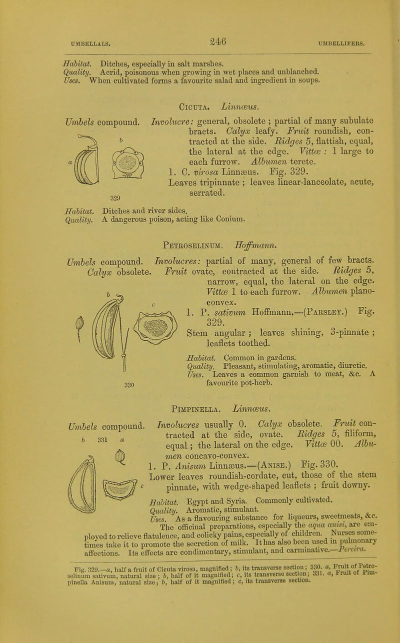 Habitat. Ditches, especially in salt marshes. Quality. Acrid, poisonous when growing in wet places and unblanched. Uses. When cultivated foms a favoui'ite salad and ingredient in soups. CicuTA. Linncms. Involucre: general, obsolete ; partial of many subulate bracts. Calyx leafy. Fruit roundish, con- tracted at the side. Ridges 5, flattish, equal, the lateral at the edge. Vittce : 1 large to each furrow. Albumen terete. 1. C. wVosa Linna3us. Fig. 329. Leaves tripinnate ; leaves linear-lanceolate, acute, serrated. Habitat. Ditches and river sides. Qmlity. A dangerous poison, acting like Conium. Umbels compound. 329 Petroselinum. Hoffmann. Umbels compound. Involucres: partial of many, general of few bracts. Calyx obsolete. Fruit ovate, contracted at the side. Ridges 5, narrow, equal, the lateral on the edge. Vittce 1 to each furrow. Albuinen plano- convex. 1. P. sativum Hoffmann.—(Parsley.) Fig. 329. Stem angular ; leaves shining, 3-pinnate ; leaflets toothed. Habitat. Common in gardens. Qmlily. Pleasant, stimulating, aromatic, diuretic. Uses. Leaves a common garnish to meat, &c. A 33Q favourite pot-herb. Pimpinella. Linnmus. Umbels compound. Involucres usually 0. Calyx obsolete b 331 a Fruit con- tracted at the side, ovate. Ridges 5, filiform, equal; the lateral on the edge. Vittoi 00. Jlbu- men concavo-convex. 1. P. ilnisMm Linnjeus.—(Anise.) Fig. 330. Lower leaves roundish-cordate, cut, those of the stem pinnate, with wedge-shaped leaflets ; fi-uit do>vny. Habitat. Egypt and Syria. Commonly cultivated. Quality. Aromatic, stimulant. Uses. As a flavouring substance for liquem-s, sweetmeats, &c. The officmal preparations, especially the aqua aimi, are em- ployed to reUeve flatulence, and colicky pains, especially of children. Nurses some- times take it to promote the secretion of milk. It has also been used m puhiionary afl-ections. Its effects are condimentary, stimulant, and cai-mmatiYe.--i o-etm. o, Fruit of Petro- Fig.329.—a.lialfafniitof Cicutavirosa, magnifled; b, its transverse section, 330. ^ , „. selinura sativum, natural size ; b, half of it magnified; c, its transverse section; 331. a, truit ot rim- pineUa Anisum, natural size; b, lialf of it mapiitied; c, its transverse section.
